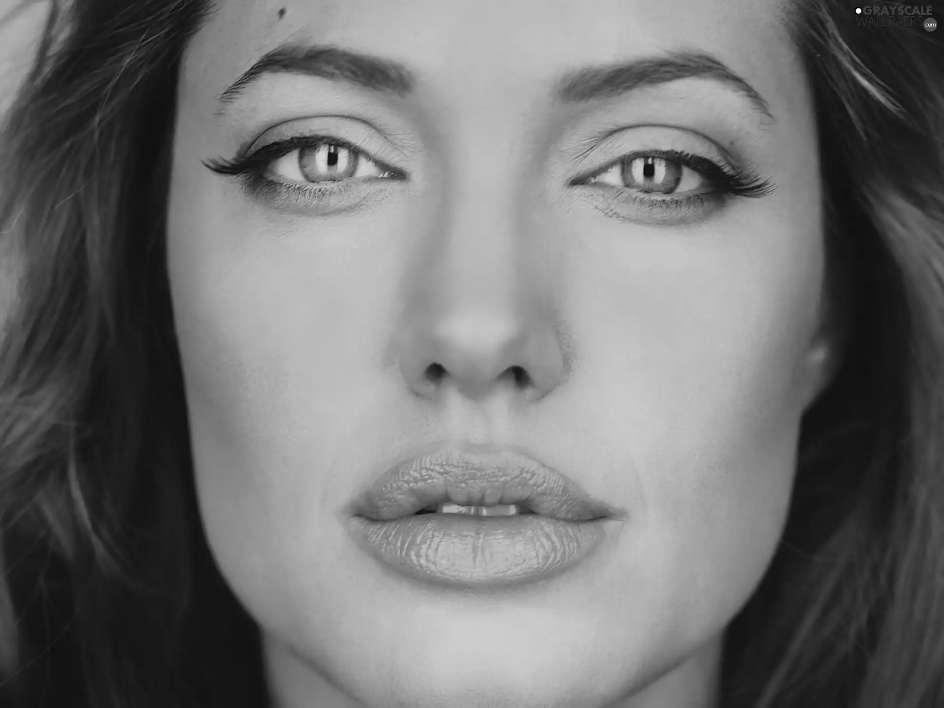 Angelina Jolie, face
