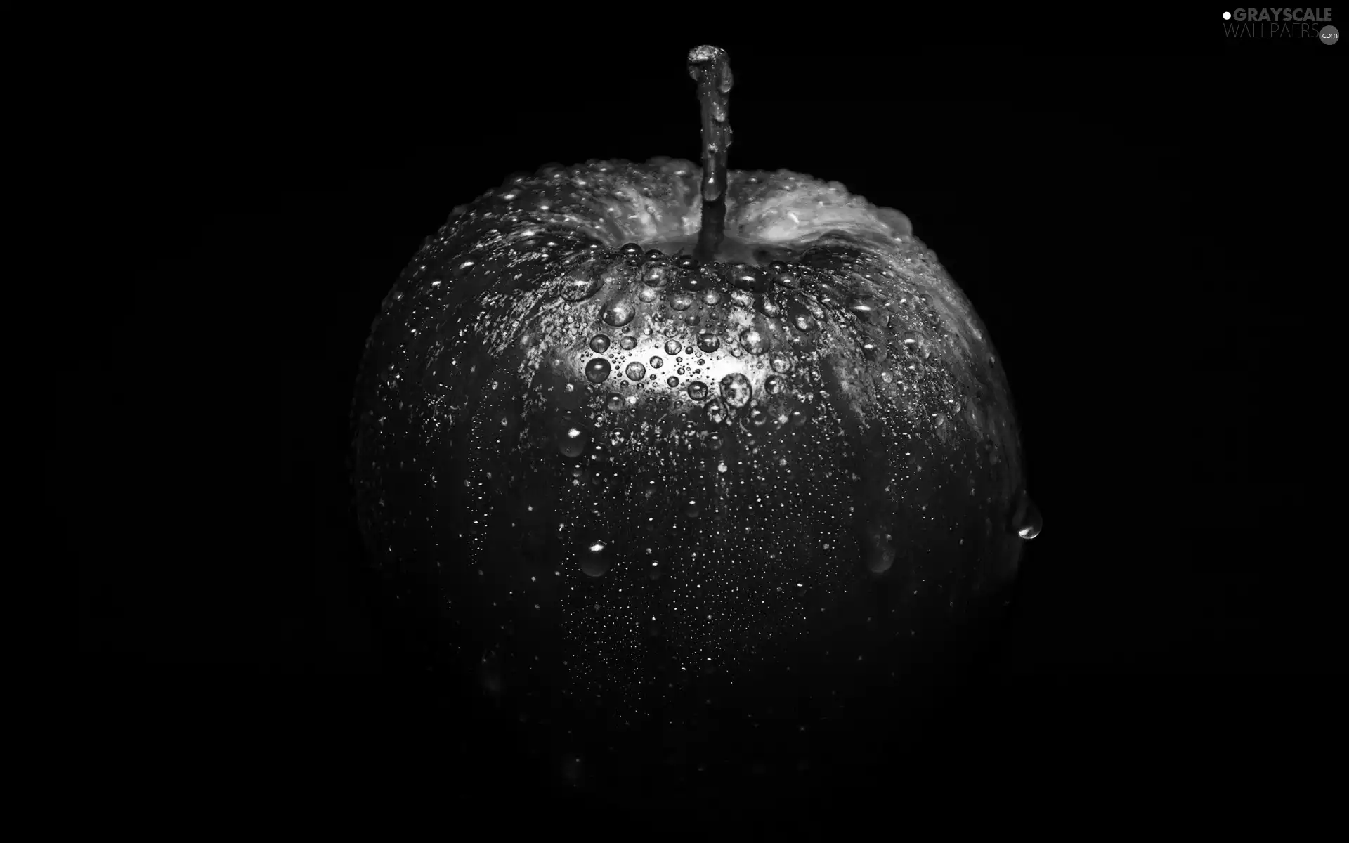 apple, Apple