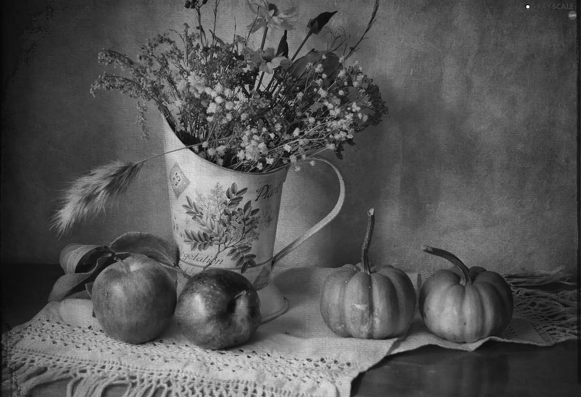 apples, pumpkin, dried, Flowers, pitcher