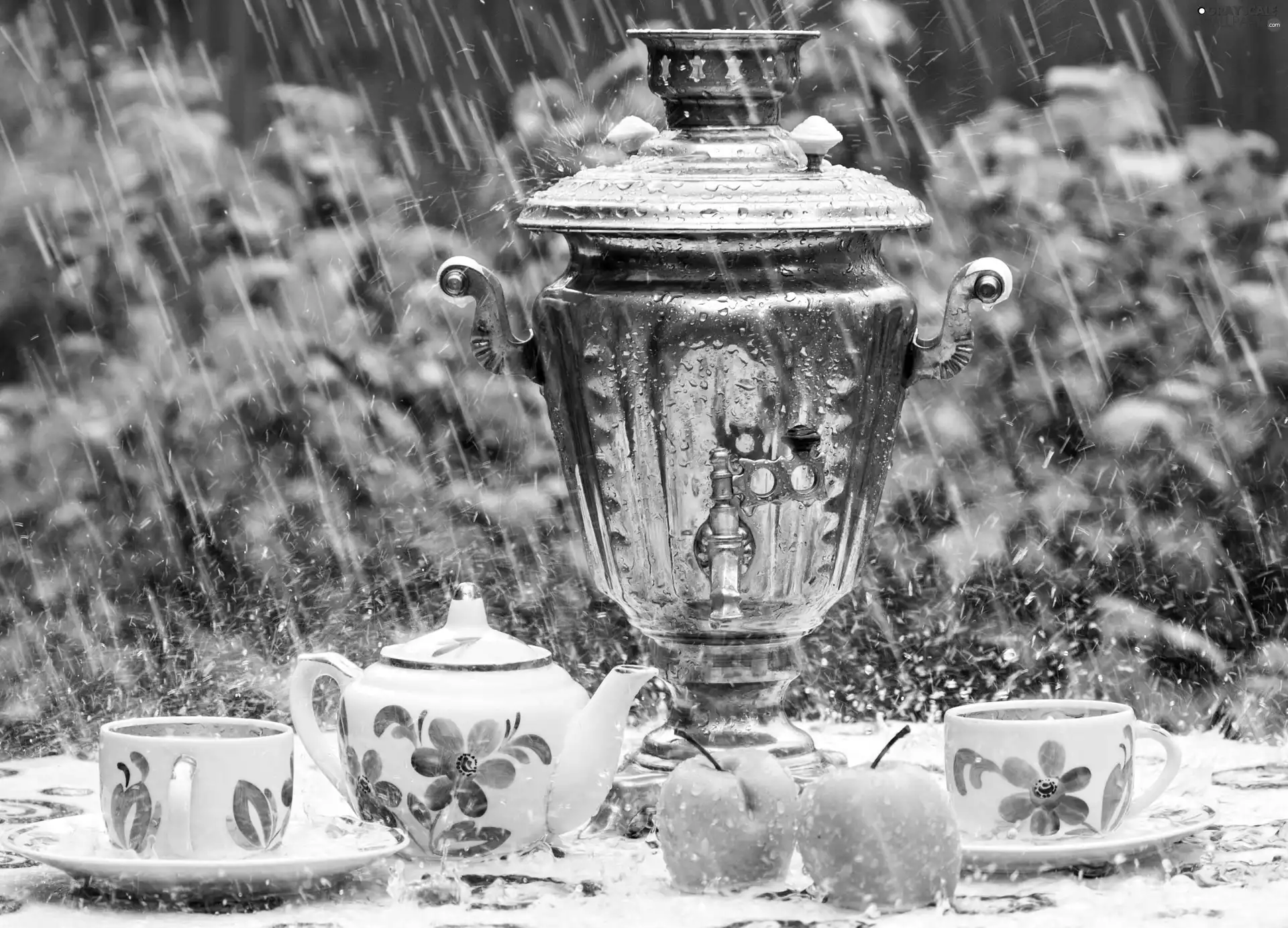 Rain, cups, apples, samovar