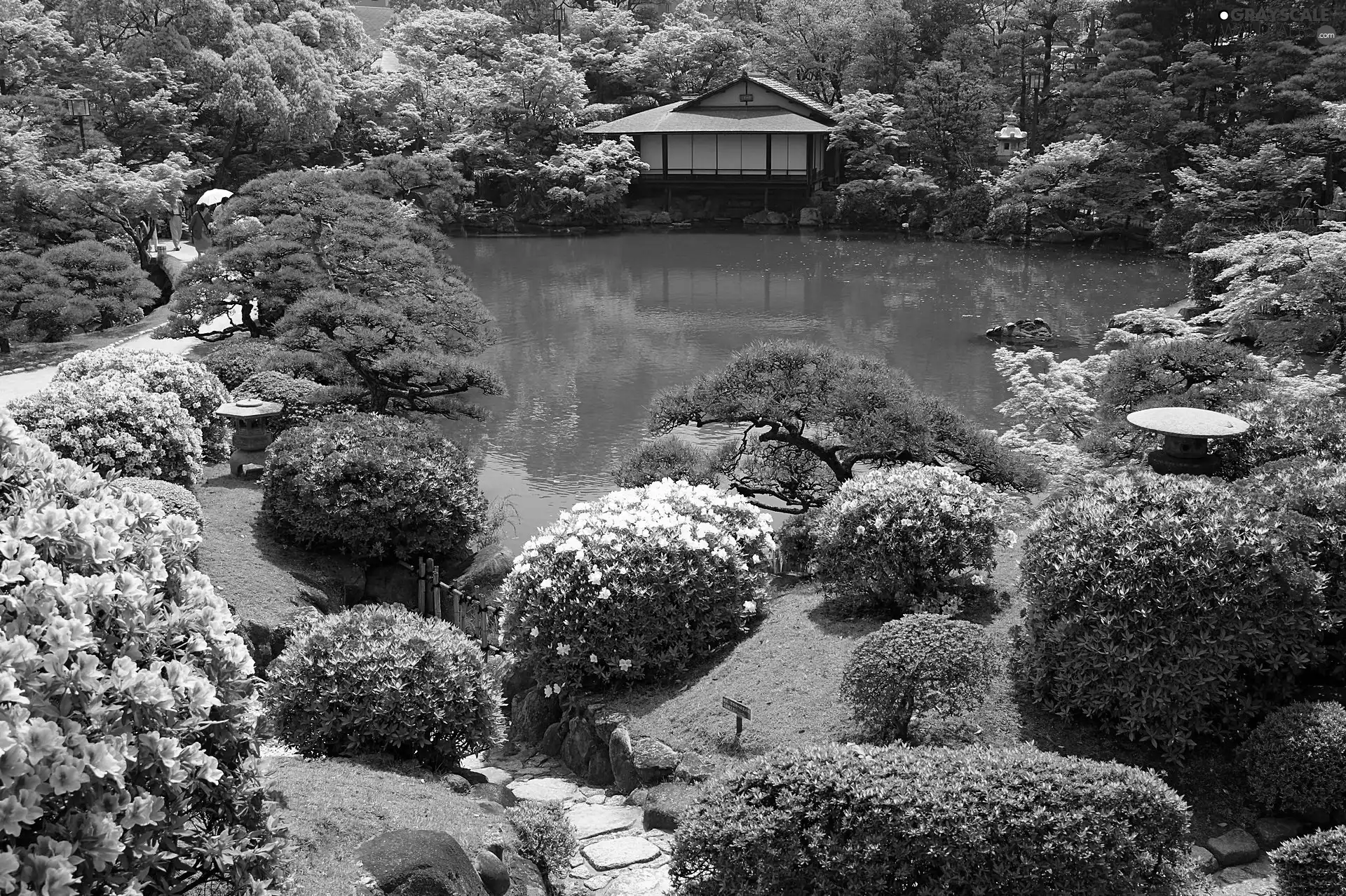 japanese, Pond - car, arbour, Garden