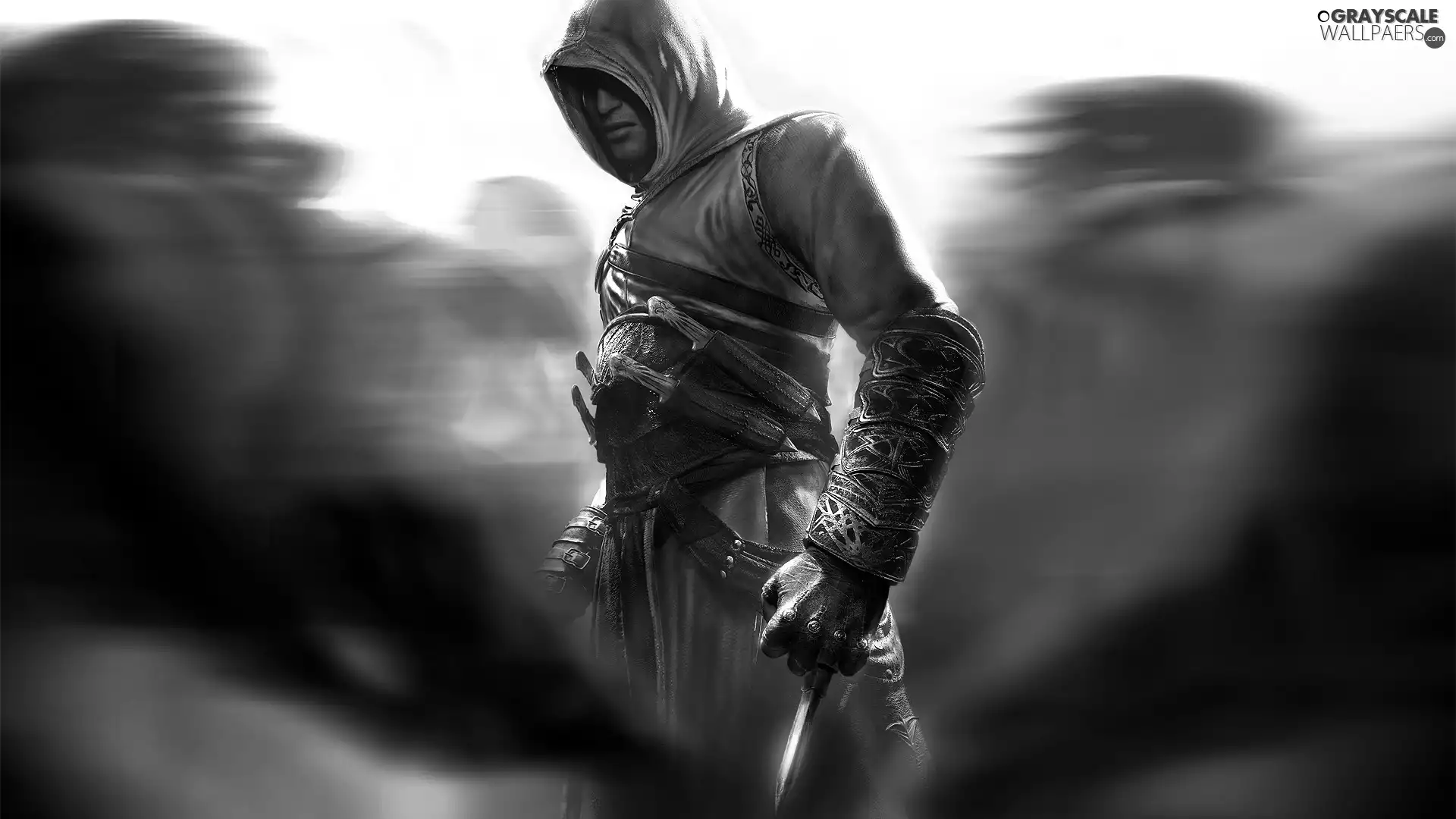 Assassins Creed, fighter