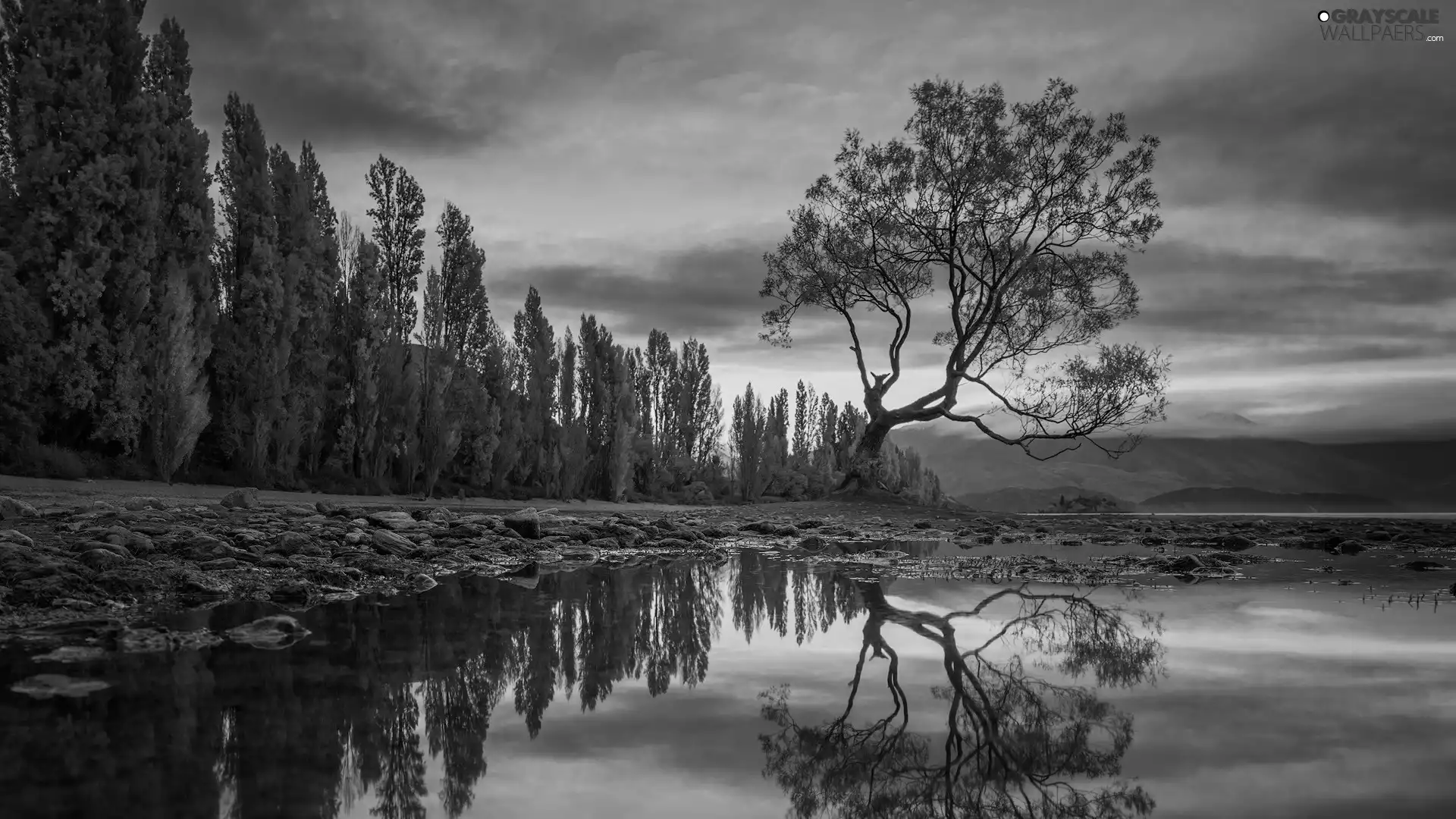 autumn, trees, reflection, Mountains, Wanaka Lake, clouds, New Zeland