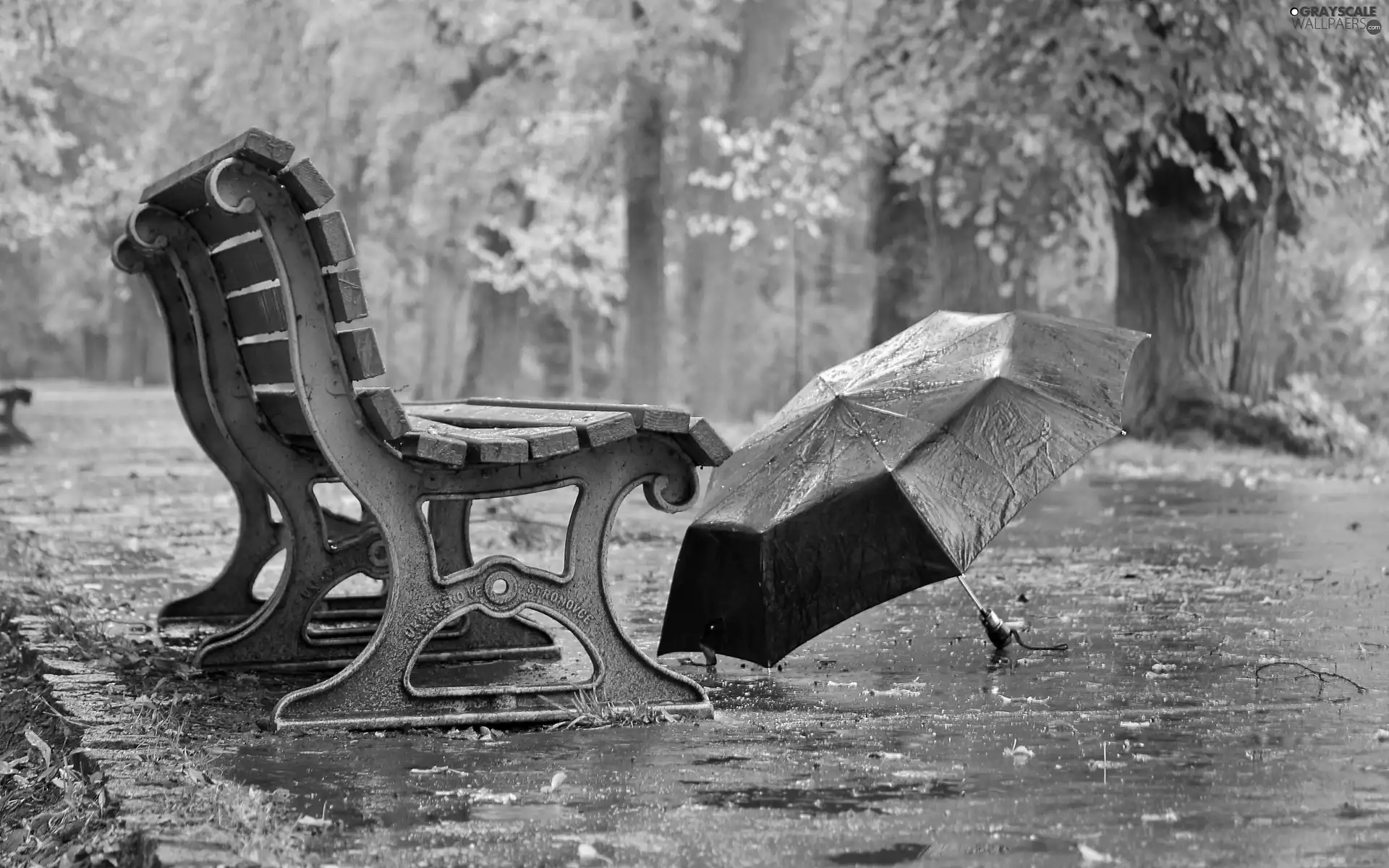 autumn, Rain, Bench, Umbrella, Park