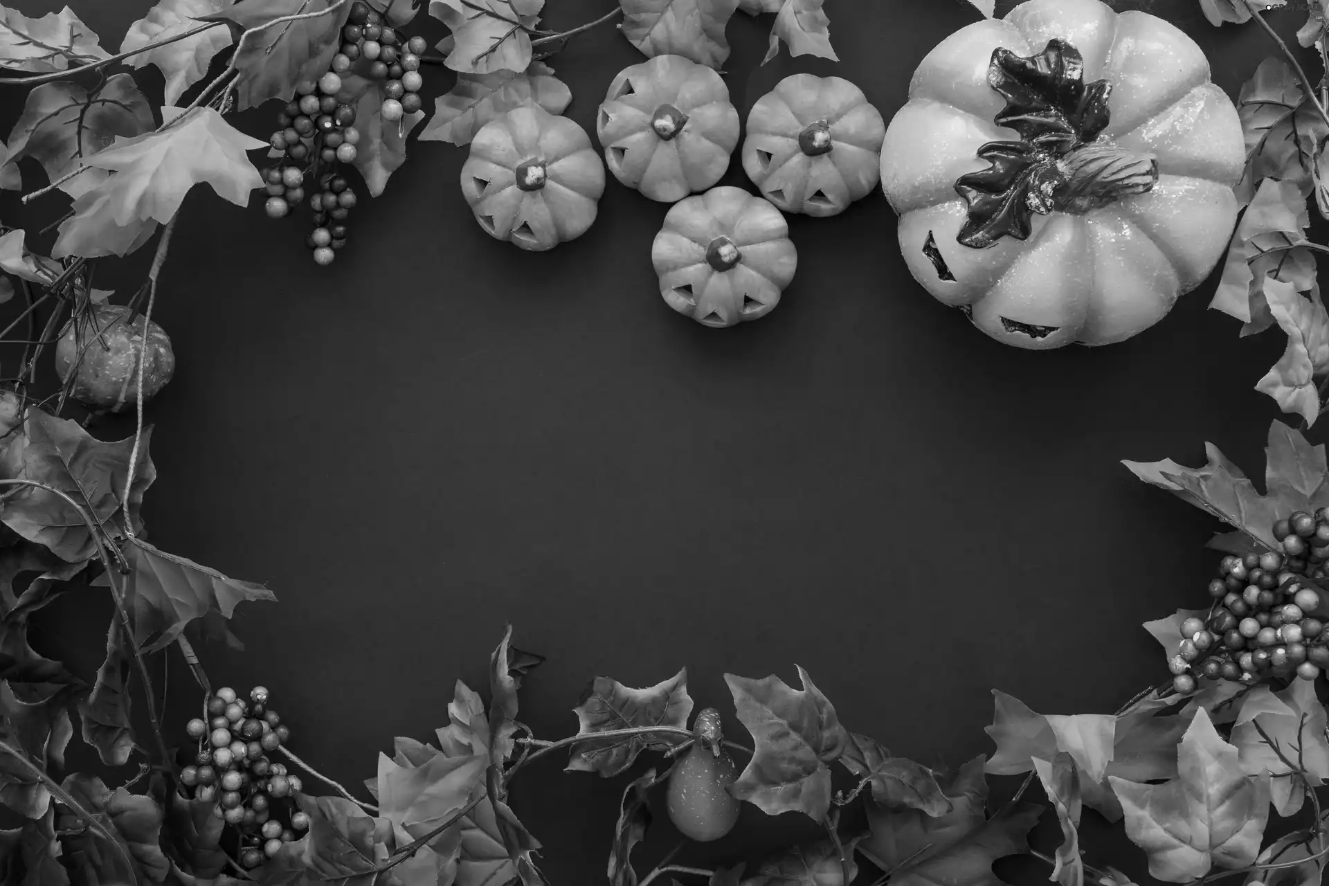 Leaf, autumn, Black, background, pumpkin, composition