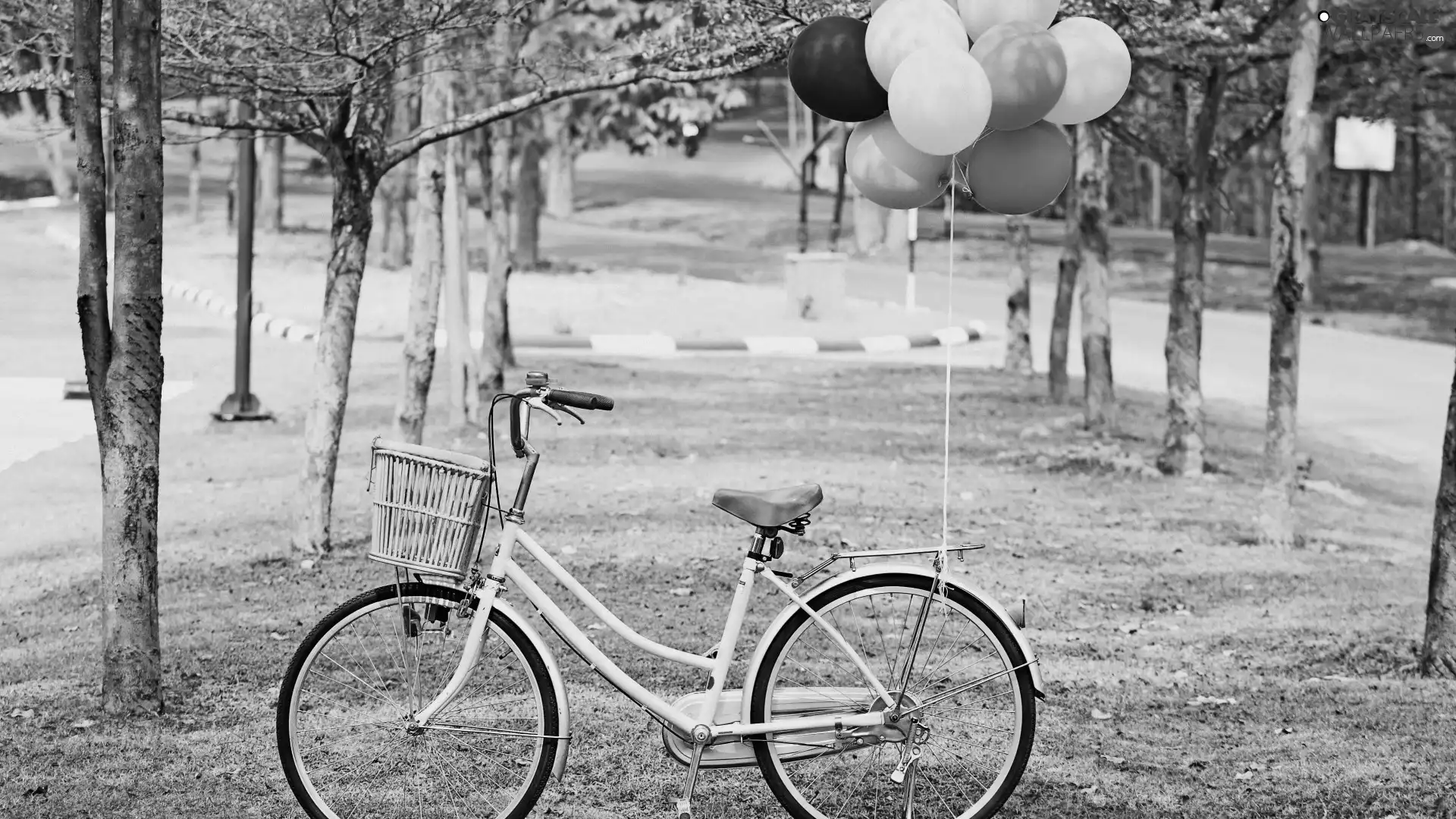 Balloons, Bike, Park