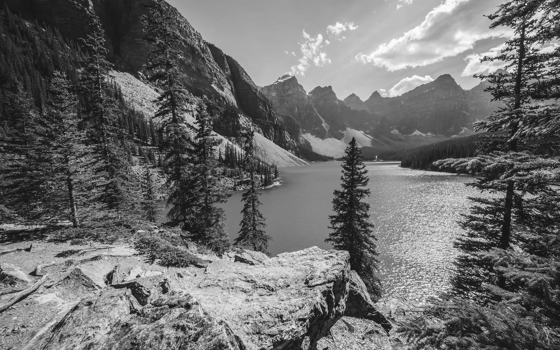 forest, Moraine Lake, Banff National Park, Mountains, Canada