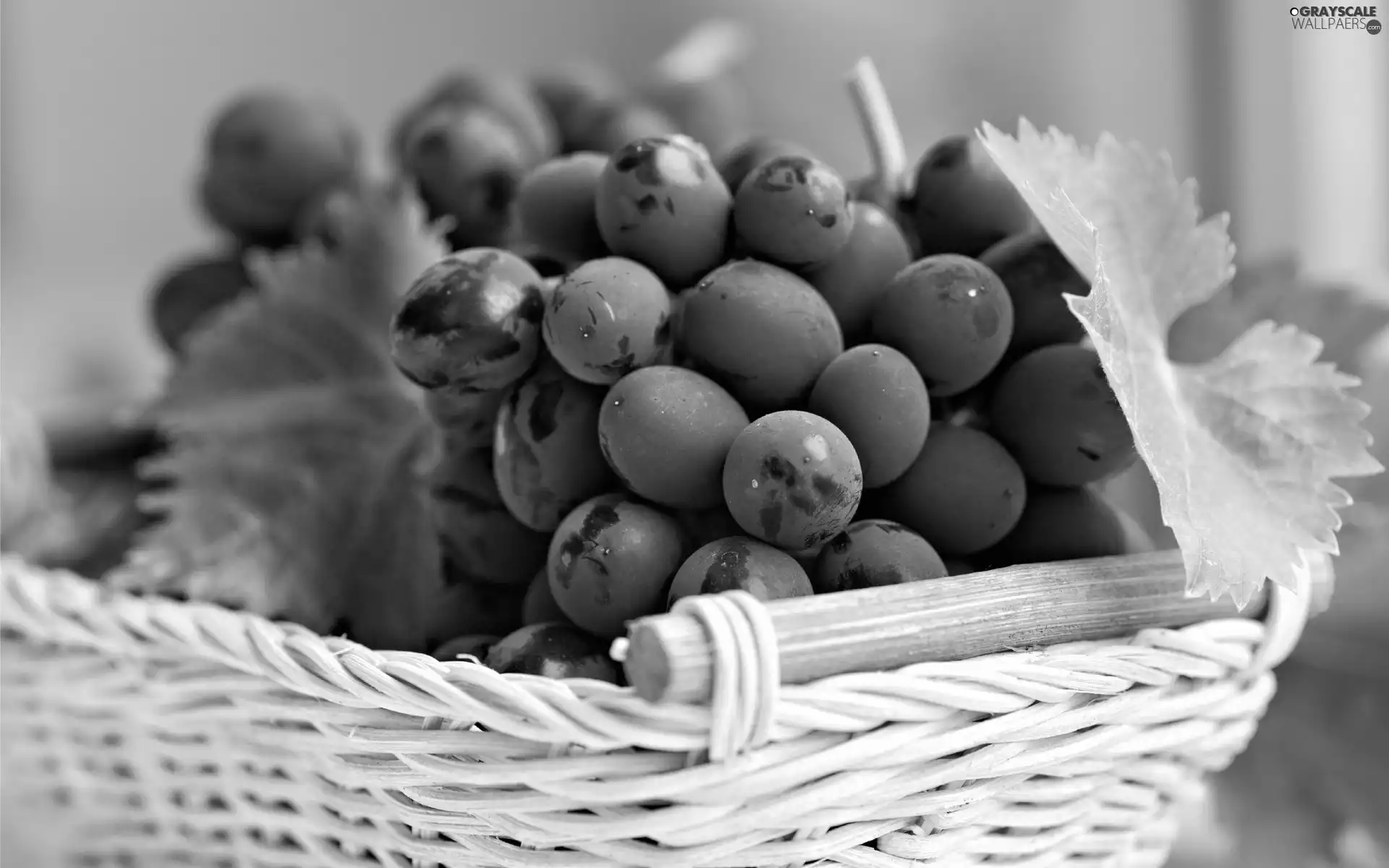 basket, dark, Grapes