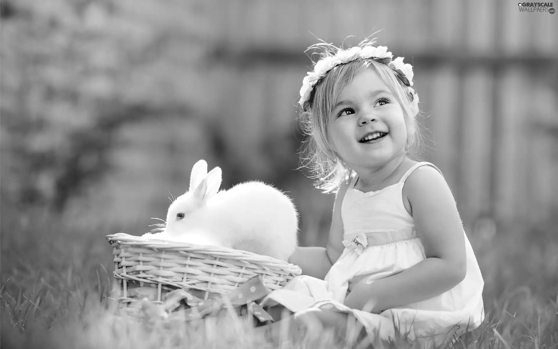basket, Meadow, girl, Rabbit, small