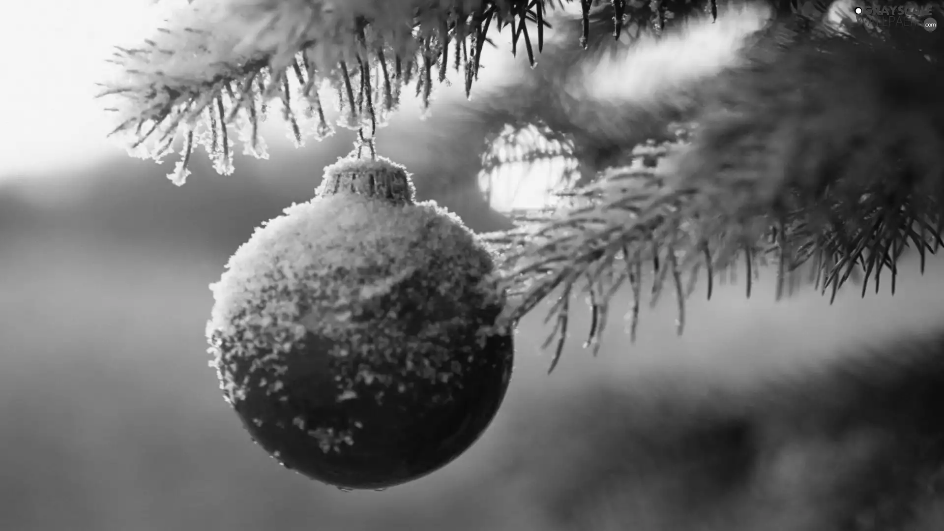 snow, christmas tree, bauble
