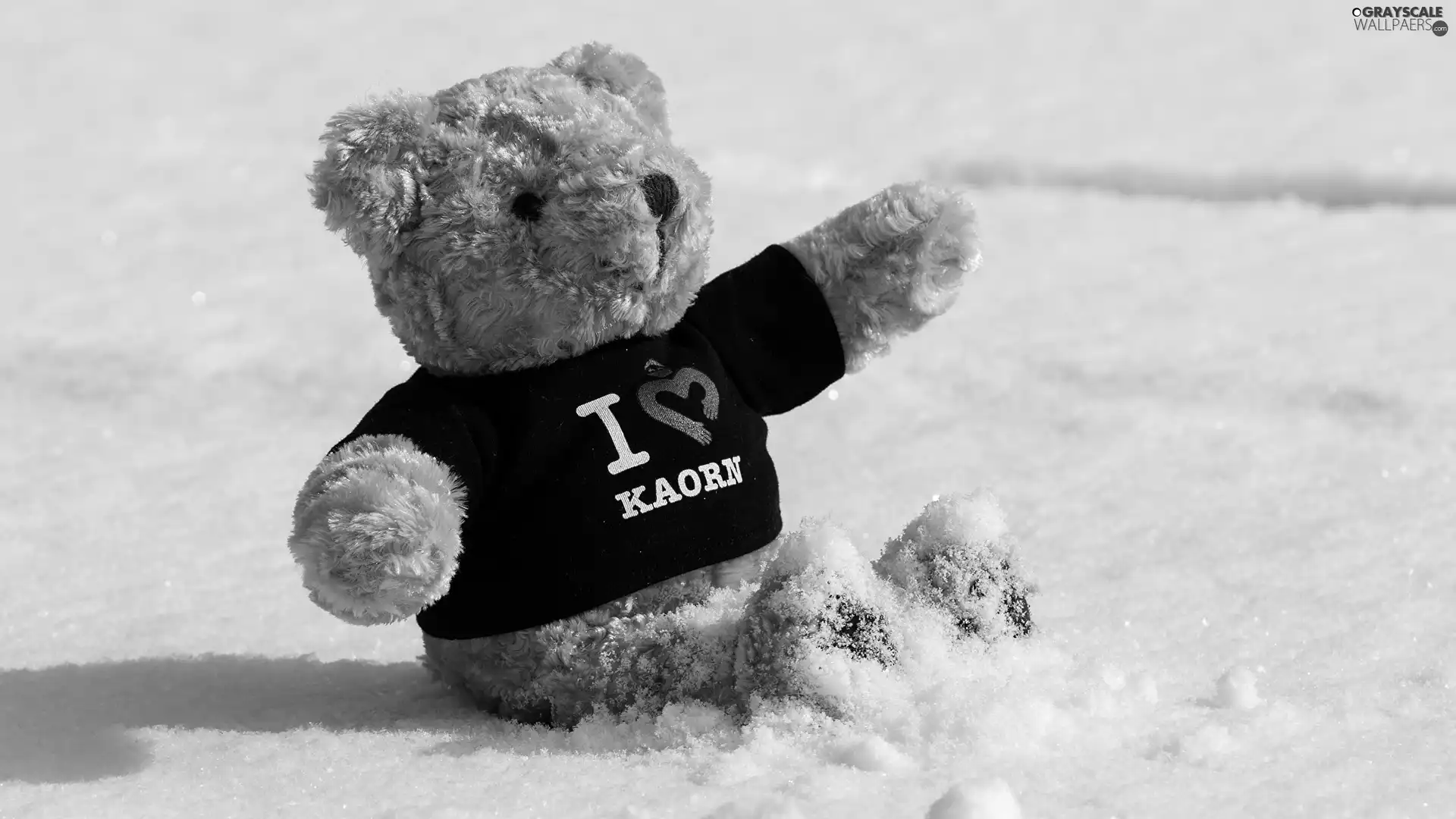teddy bear, tunic, snow, Plush