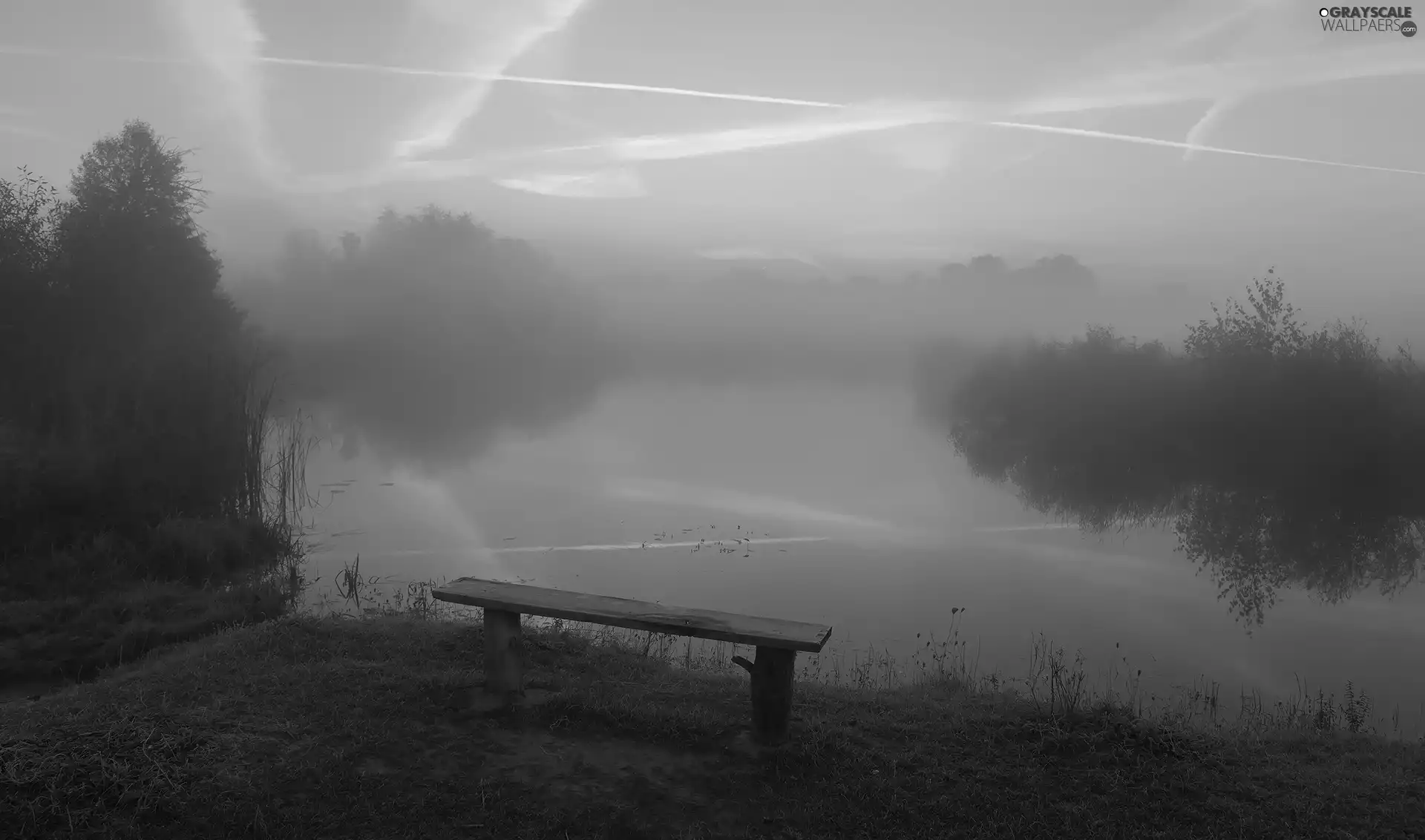 viewes, Bench, Fog, trees, lake