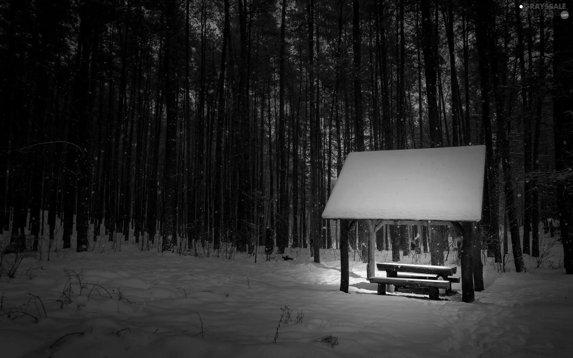 Bench, winter, illuminated, shed, forest
