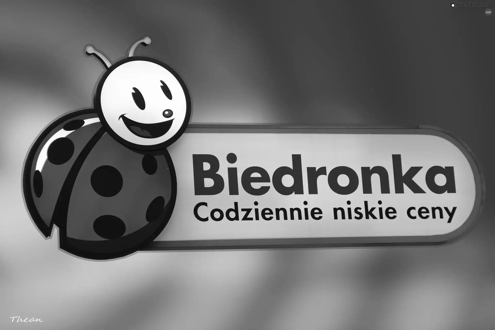 commercial, Discount Biedronka