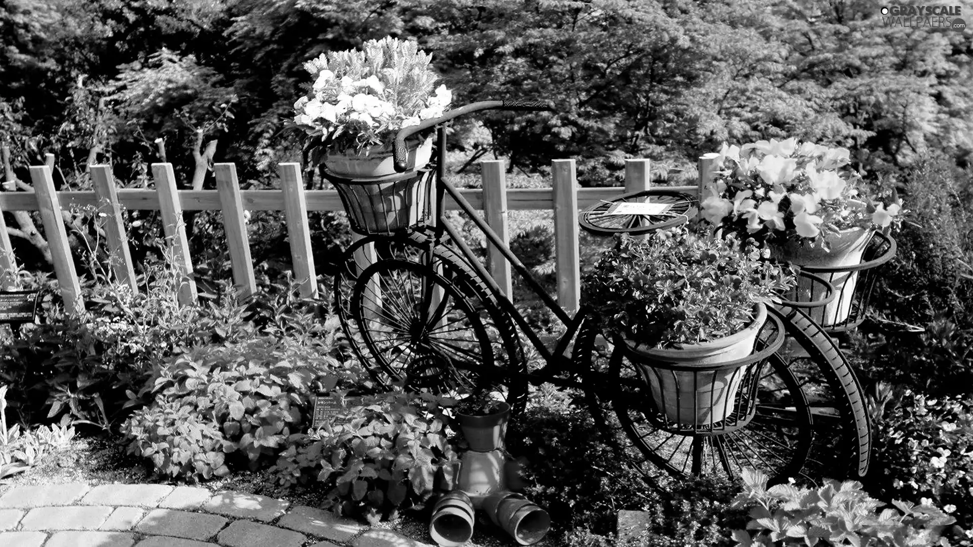 Garden, Bike