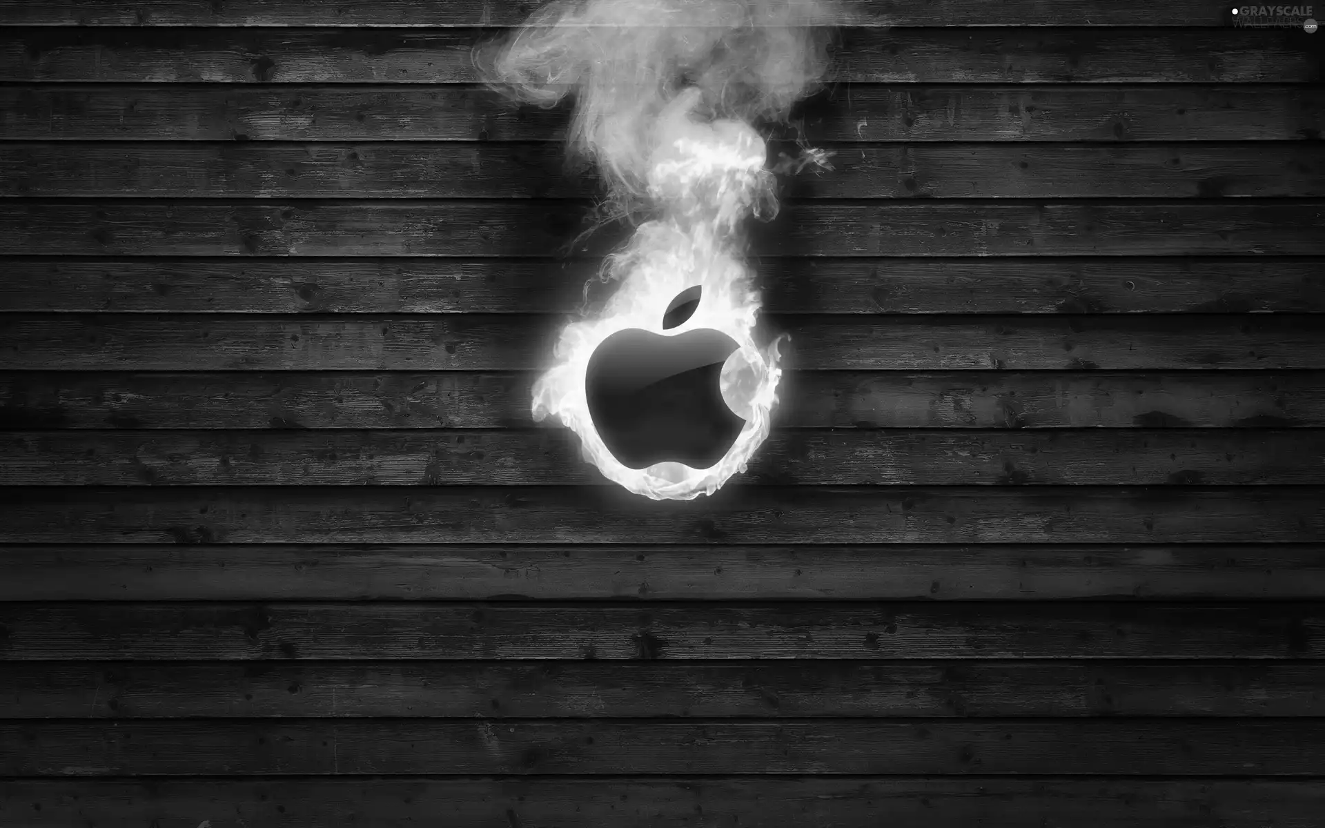 Apple, Flames, boarding, logo
