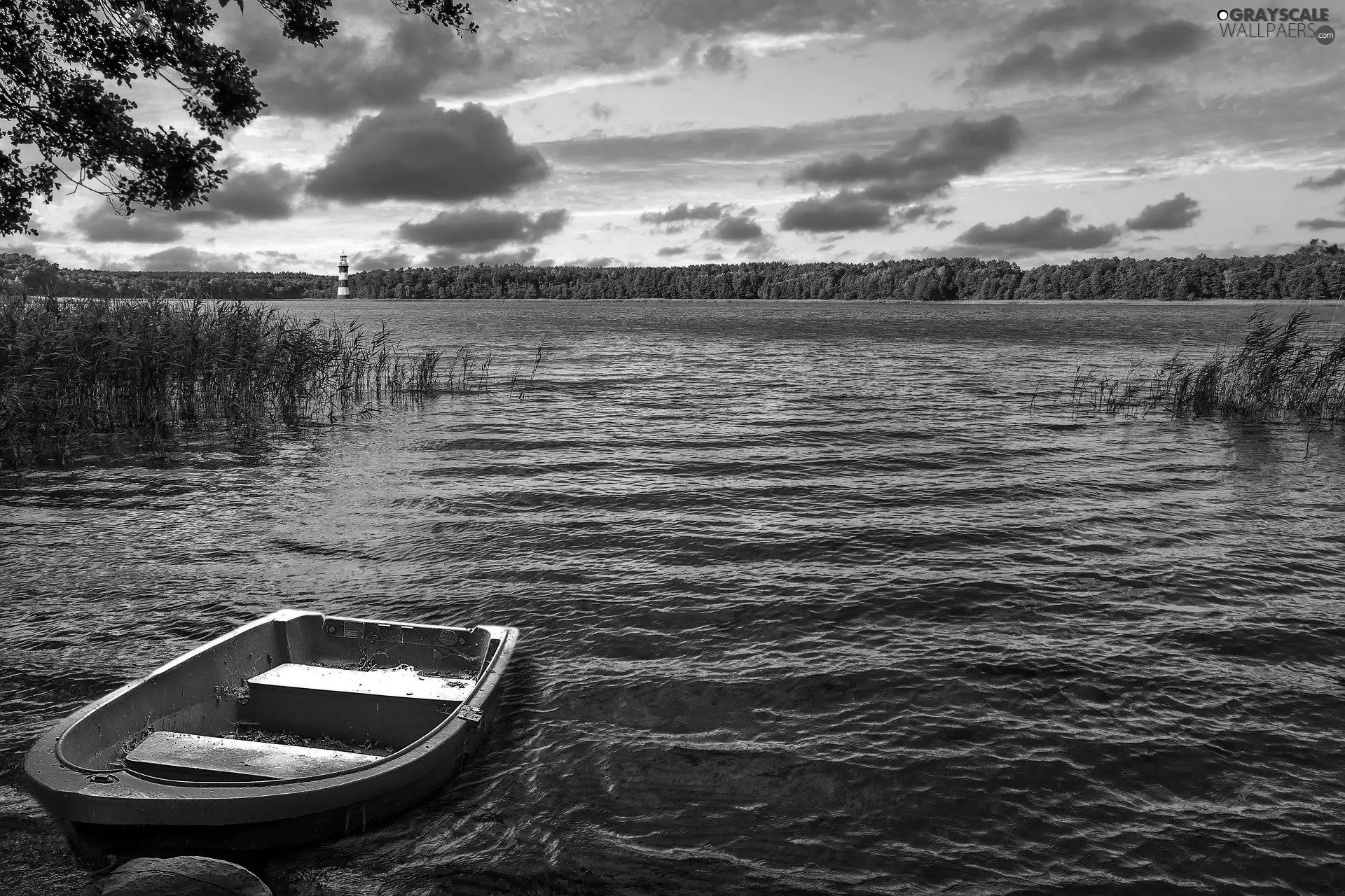 lake, clouds, cane, Boat