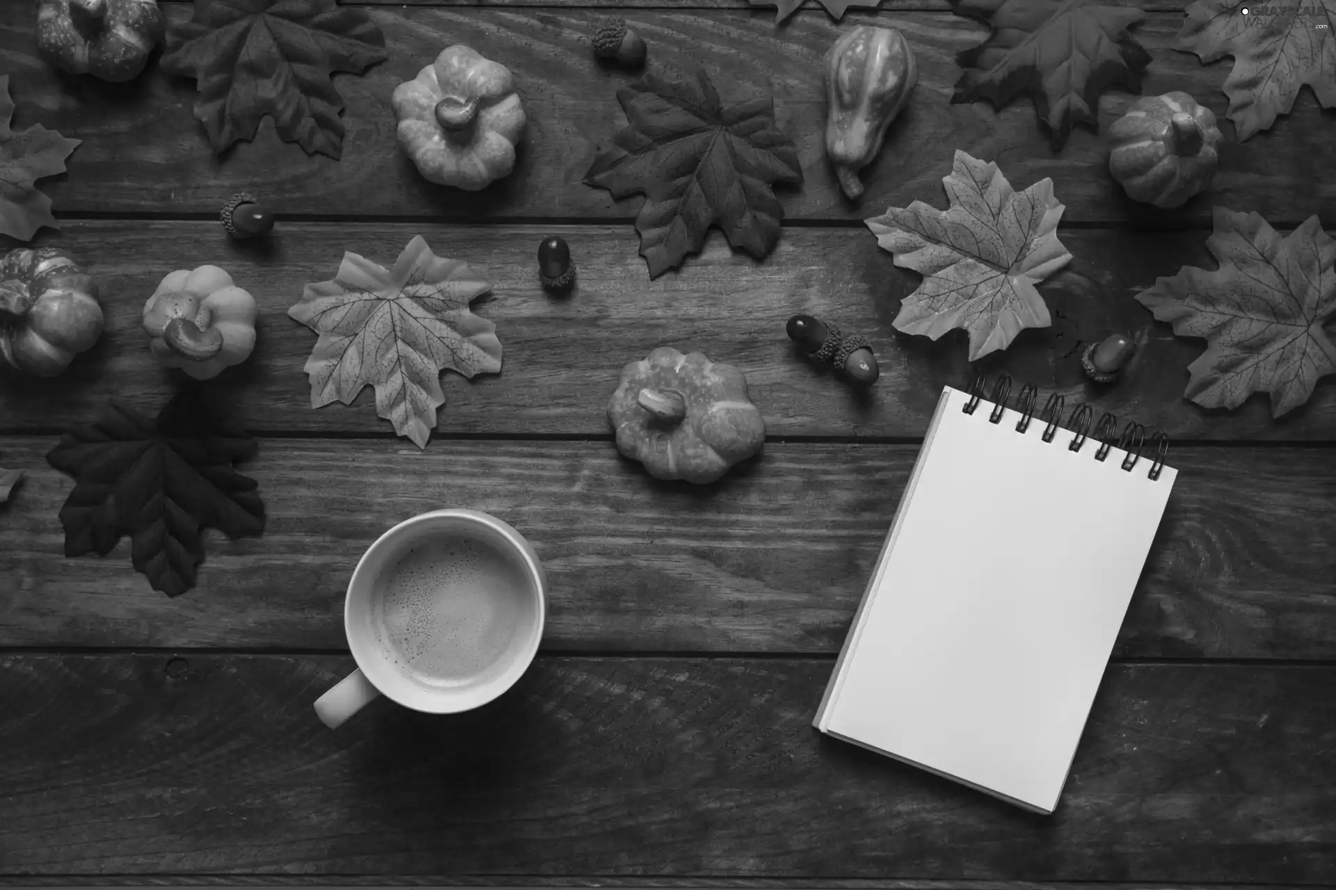 Acorns, Leaf, note-book, boarding, coffee, pumpkin