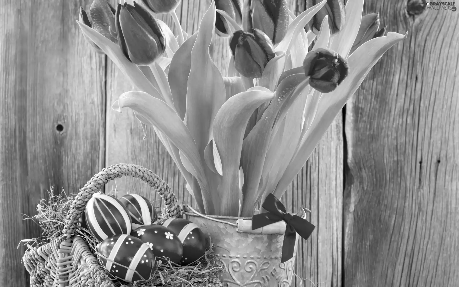 bow, bucket, eggs, Tulips, basket