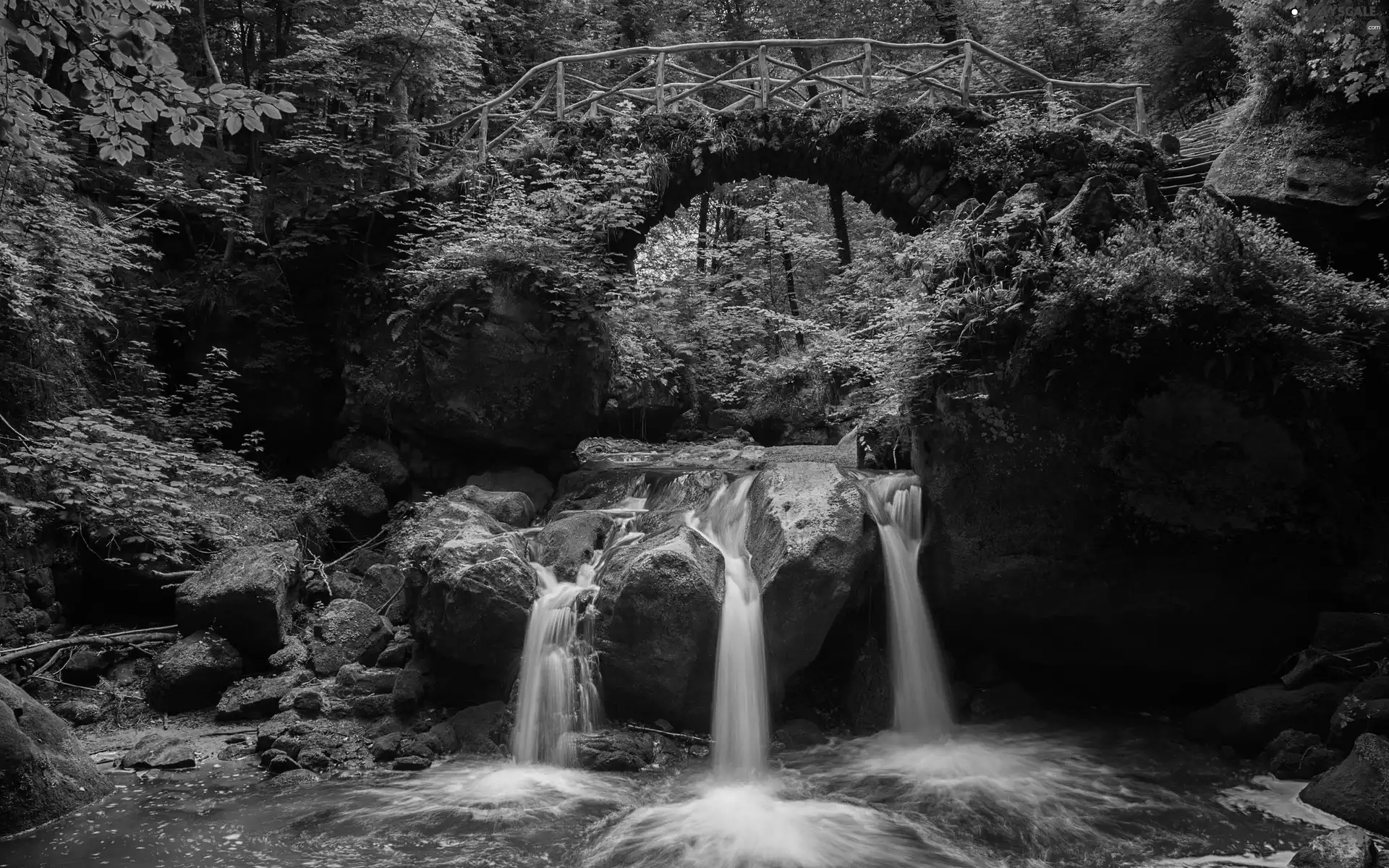 forest, stone, bridge, waterfall