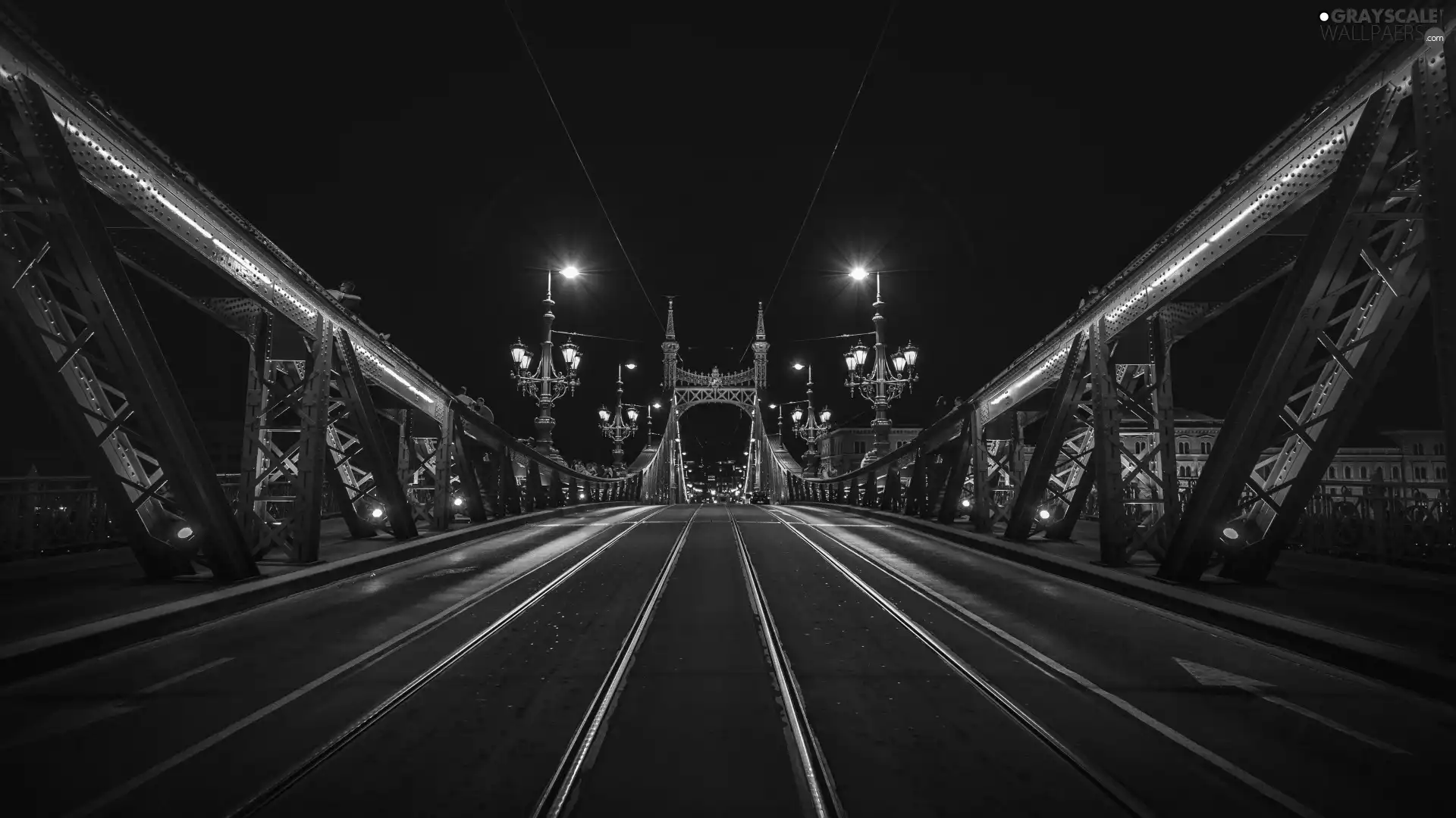 Liberty Bridge, Hungary, Night, Budapest
