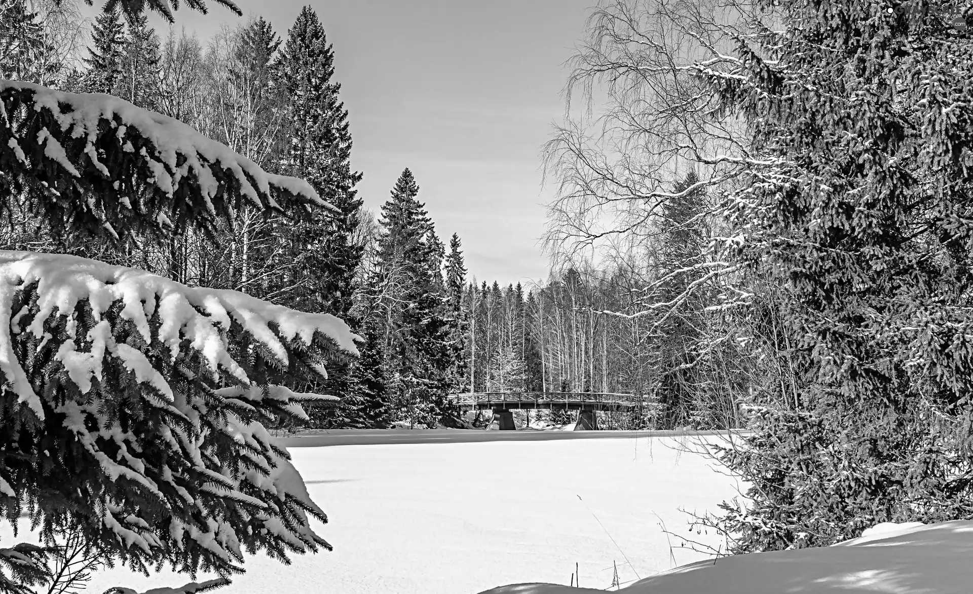 winter, River, bridge, forest