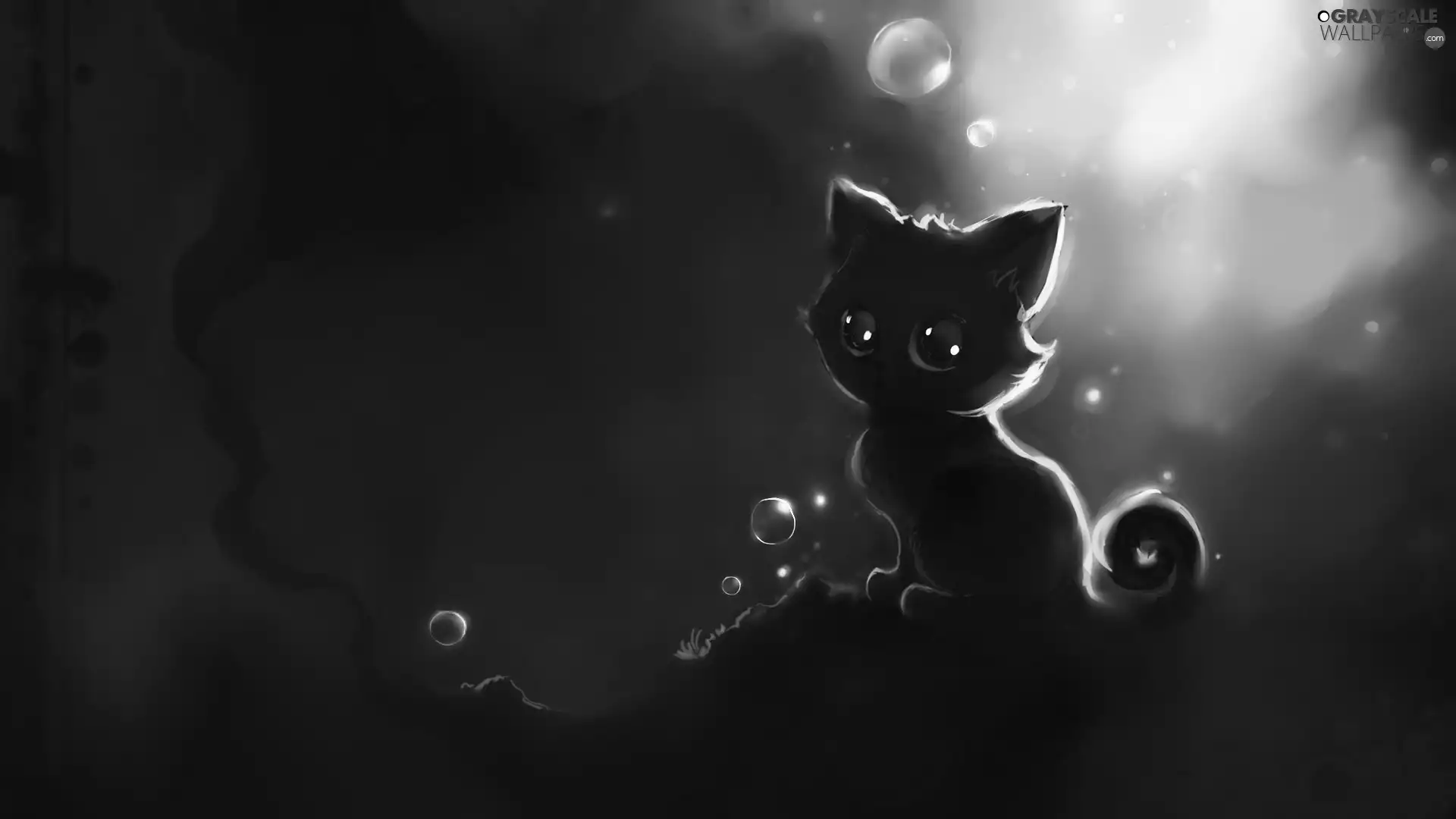 kitten, bubbles