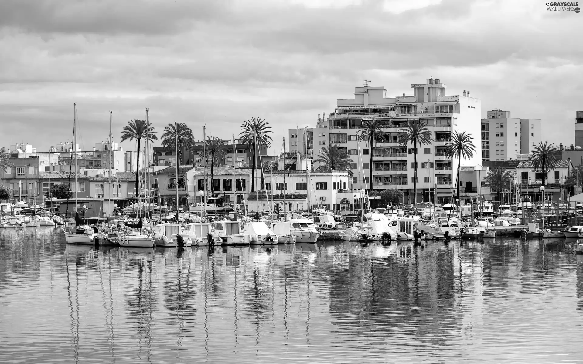 Harbour, Yachts, buildings, boats