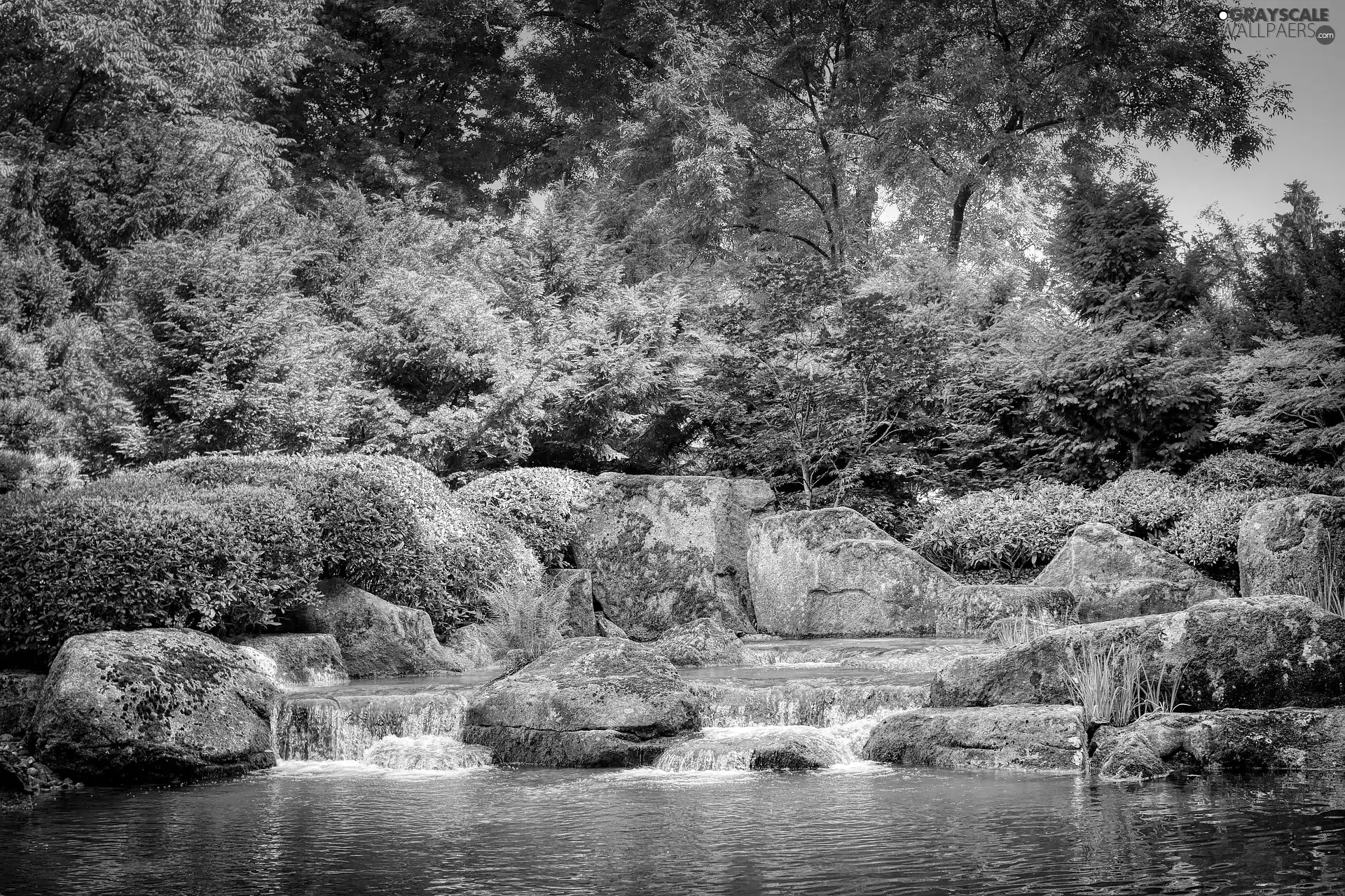 boulders, stream, viewes, Stones, Japanese Garden, trees, Bush