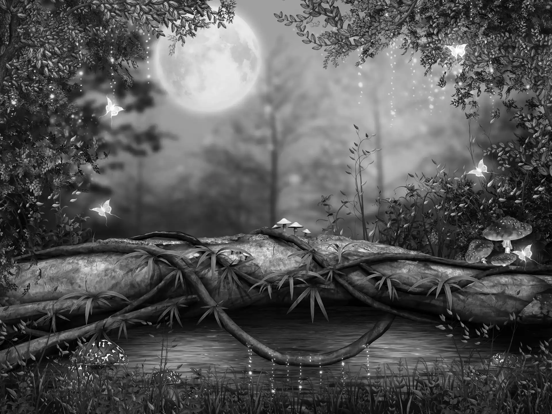 viewes, fantasy, butterflies, moon, toadstools, trees