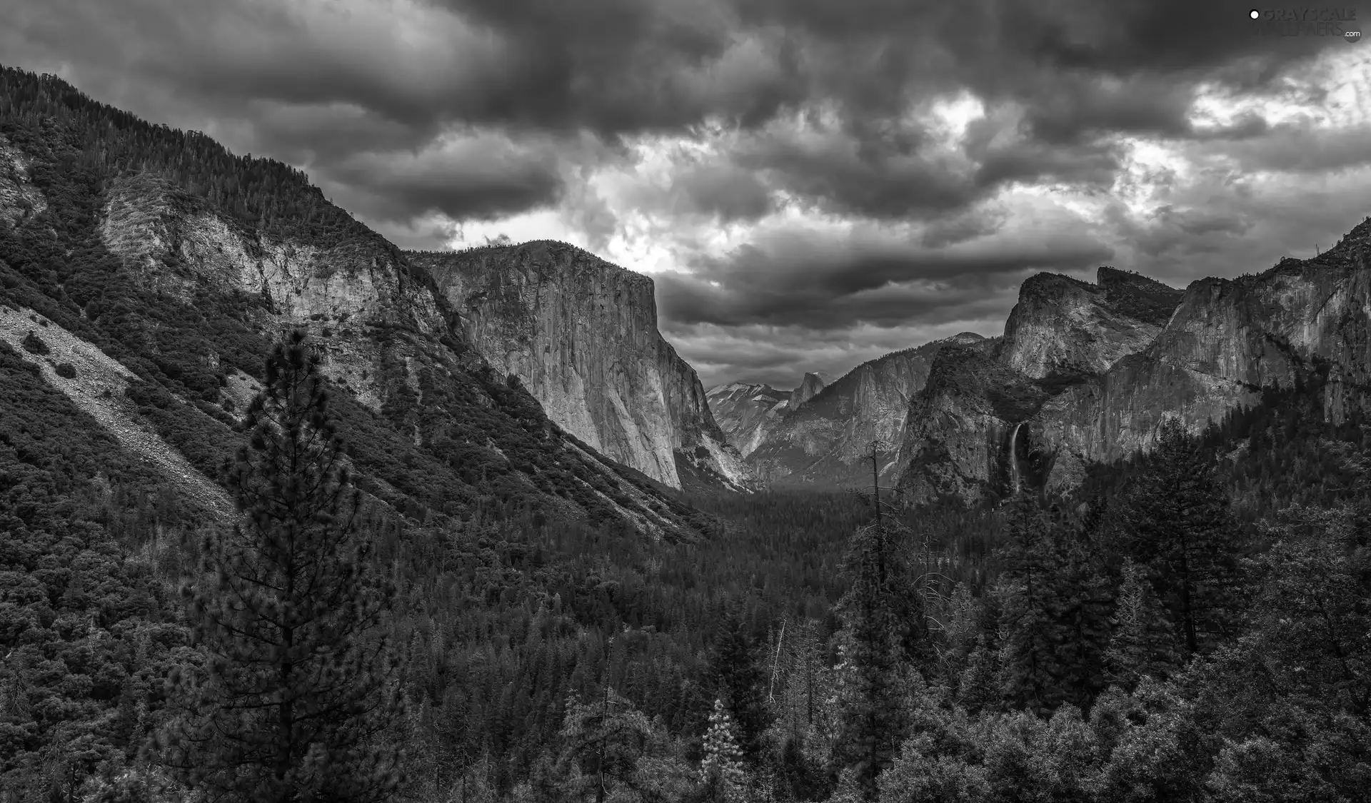 The United States, Yosemite Valley, clouds, State of California, Yosemite National Park, Mountains, Spruces