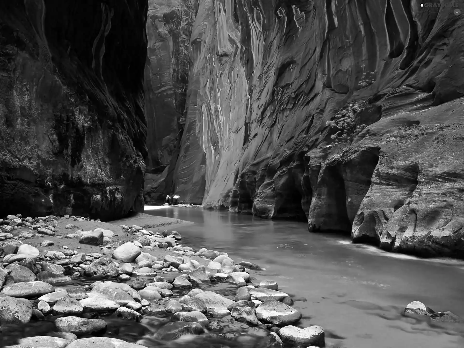 canyon, Virgin River, Utah State, Zion National Park, The United States
