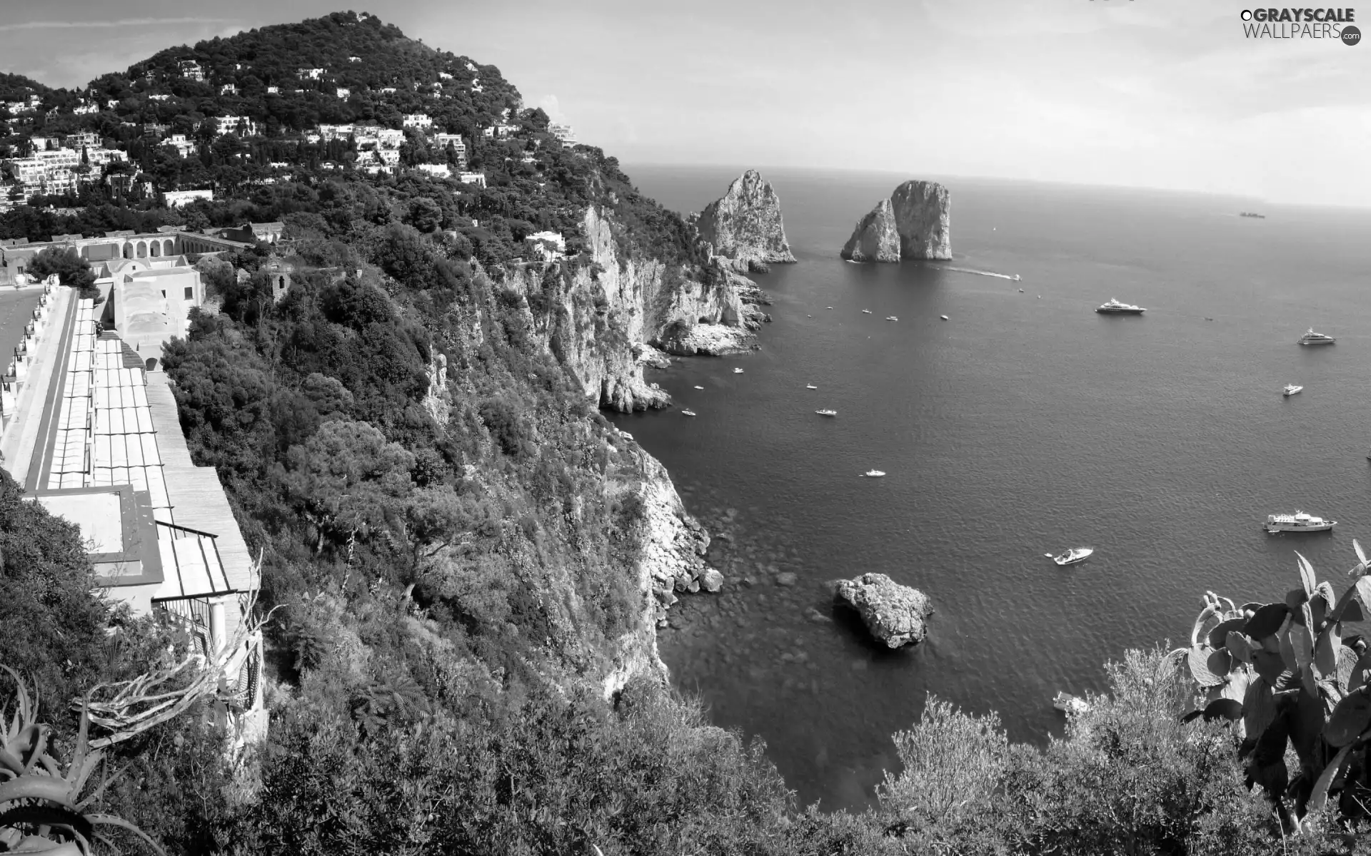 Capri, sea, Island