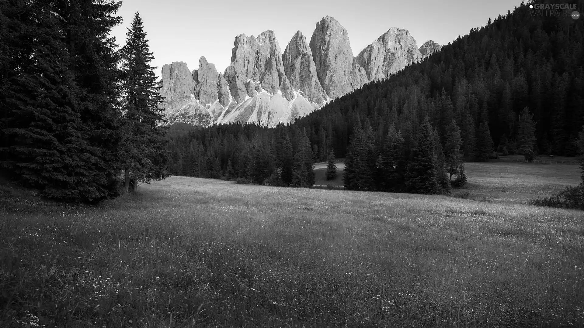 Dolomites, Mountains, Massif Odle, Val Gardena Valley, car in the meadow, Italy, trees, viewes, woods