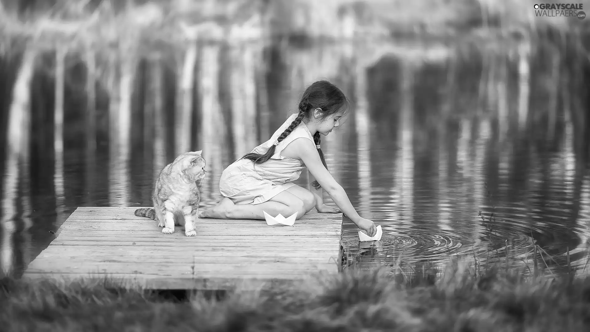 girl, Platform, water, cat
