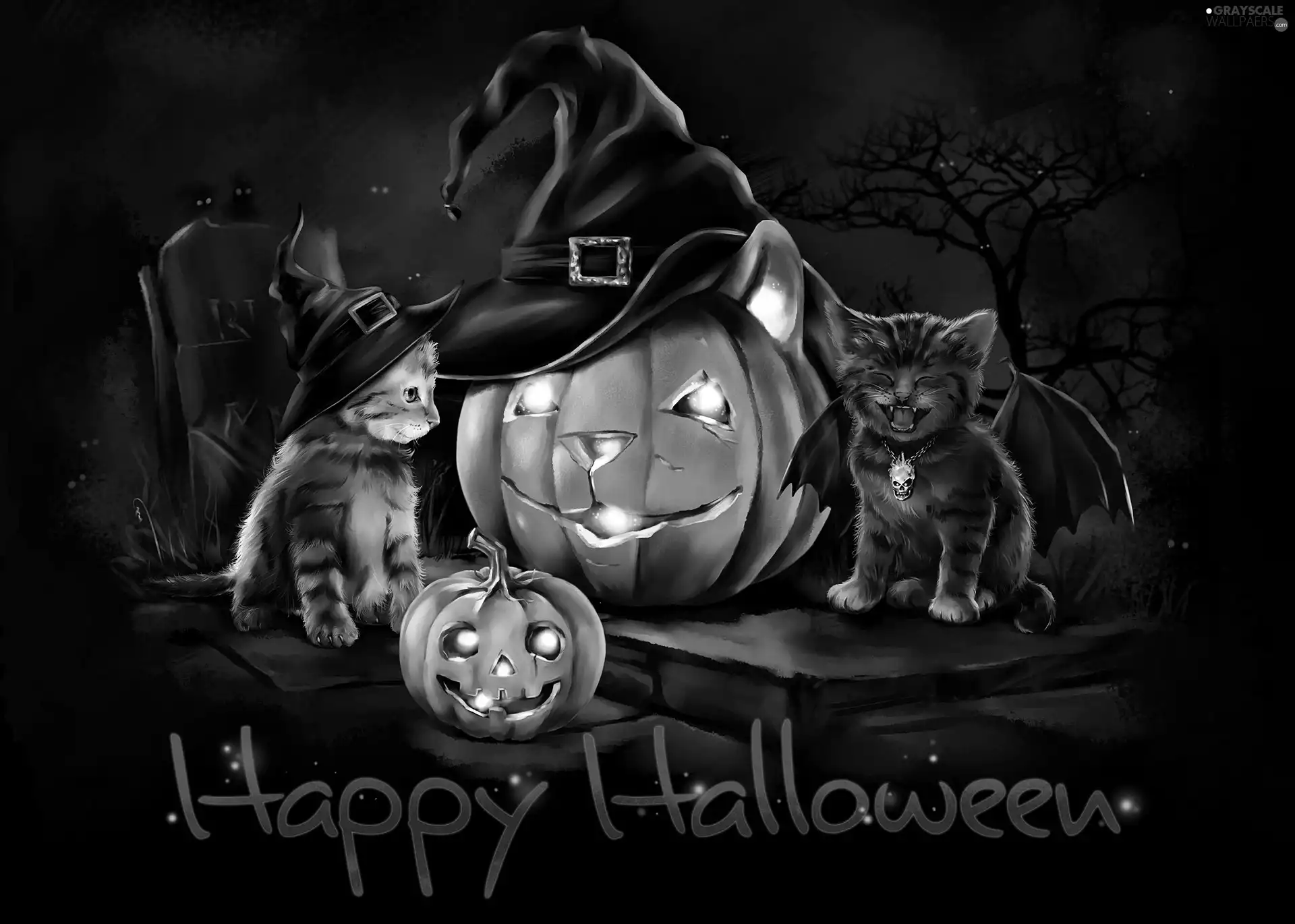 cats, halloween, pumpkin