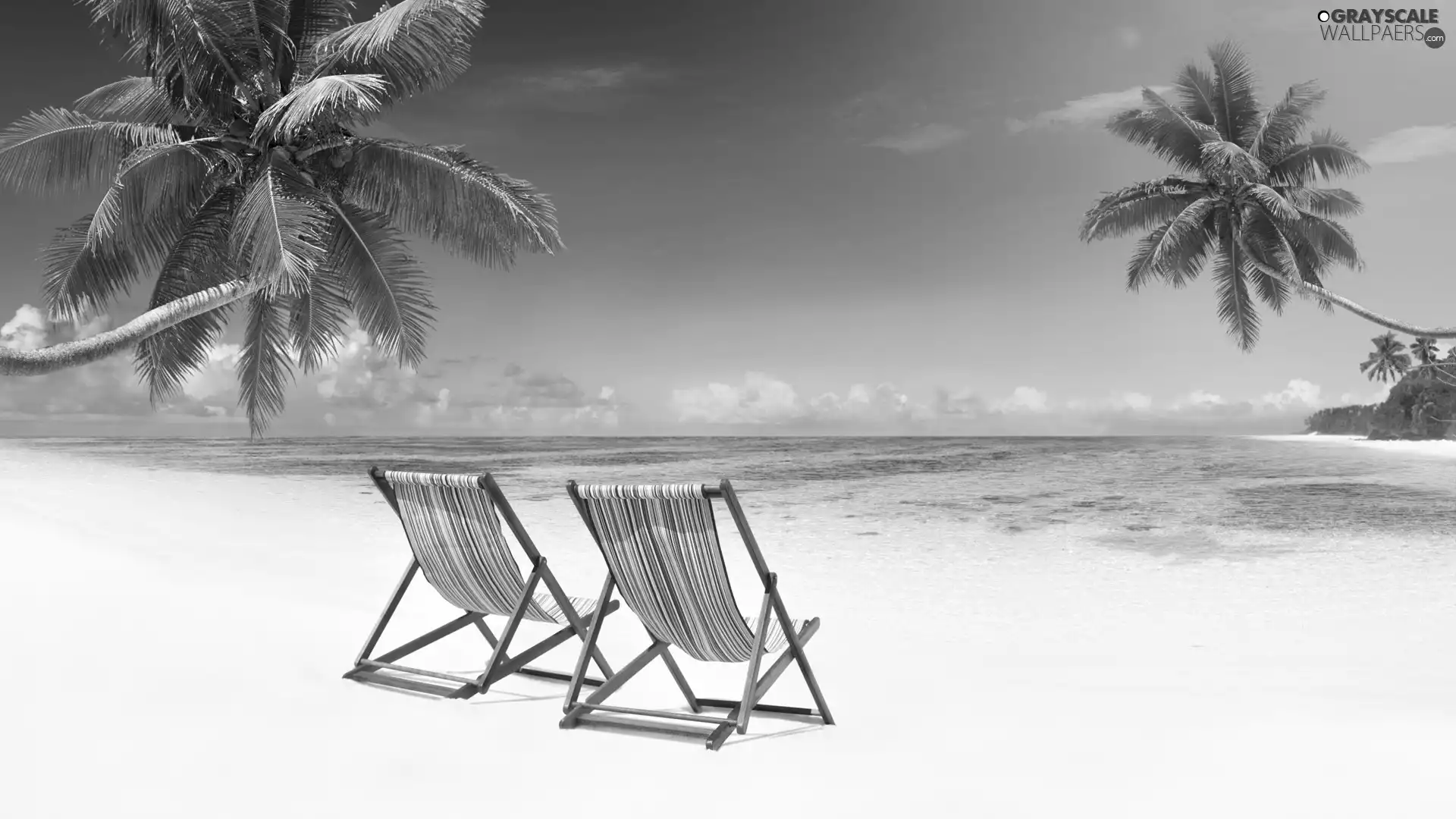 sea, summer, deck chair, holiday, Palms, Beaches