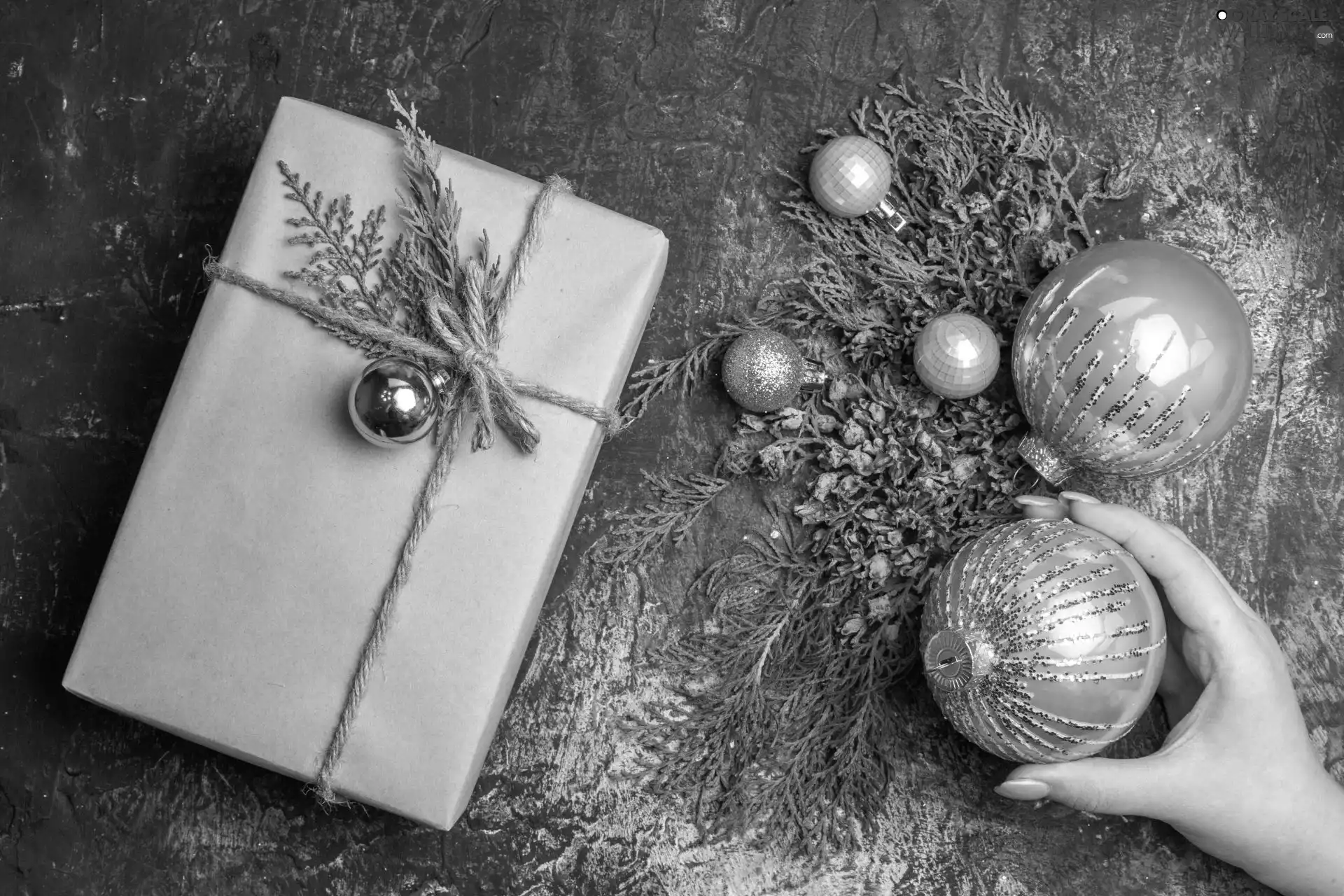 baubles, Present, Twigs, Christmas, hand, starfish