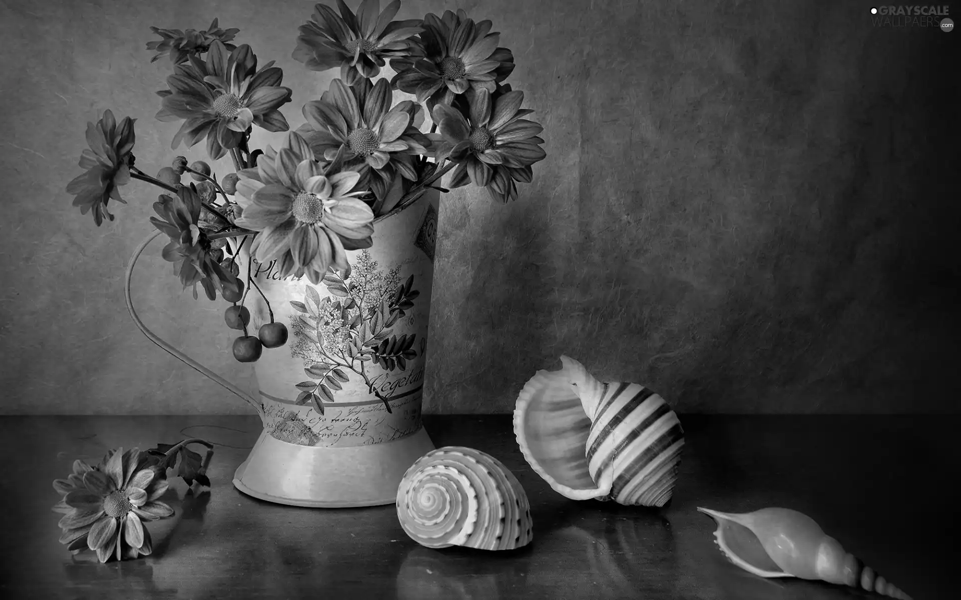 Flowers, Vase, Shells, Chrysanthemums