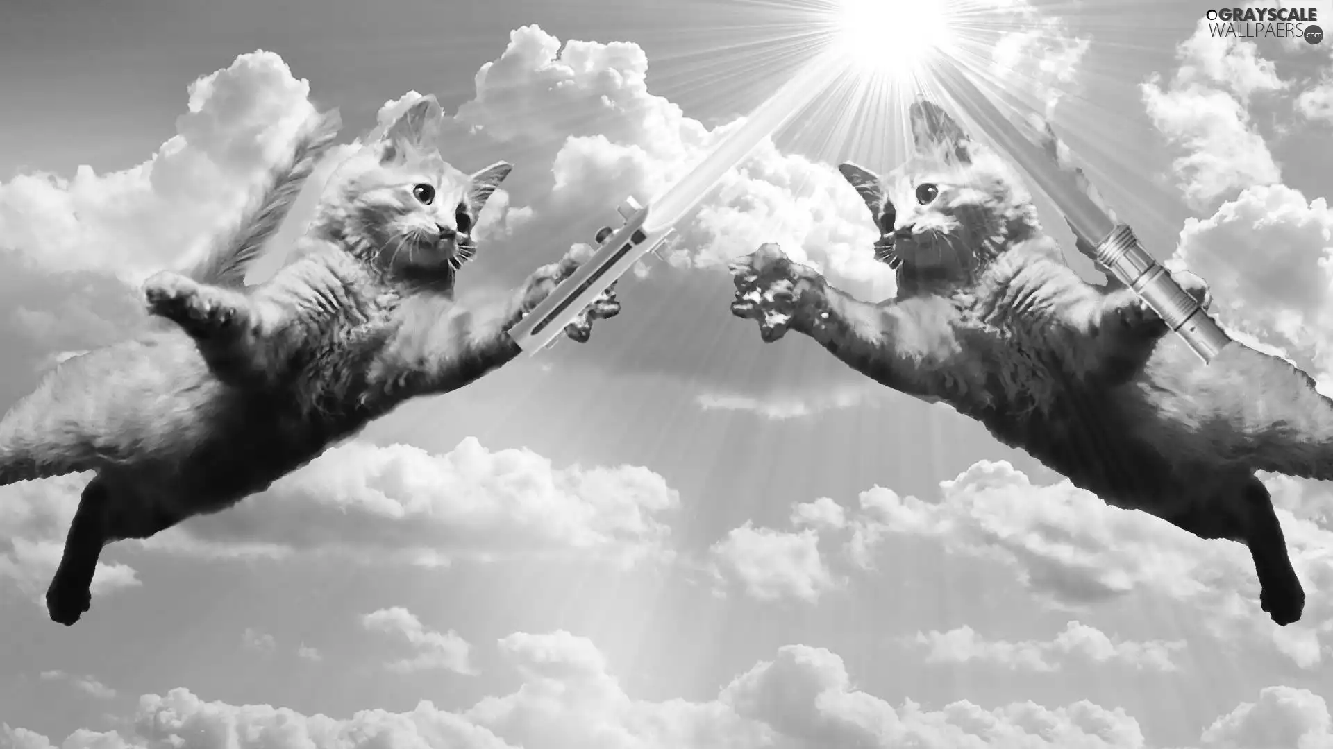 Two cars, Swords, clouds, cats