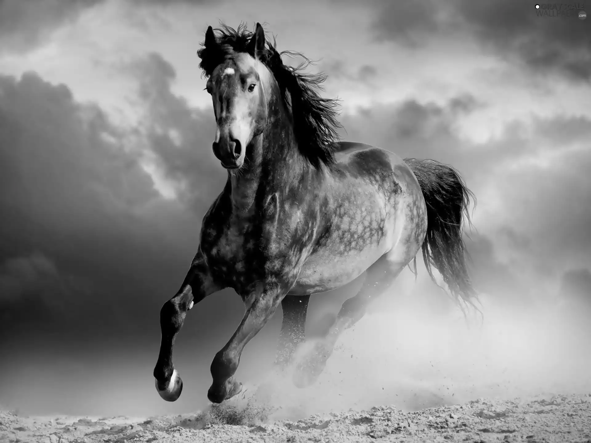 clouds, Horse, gallop