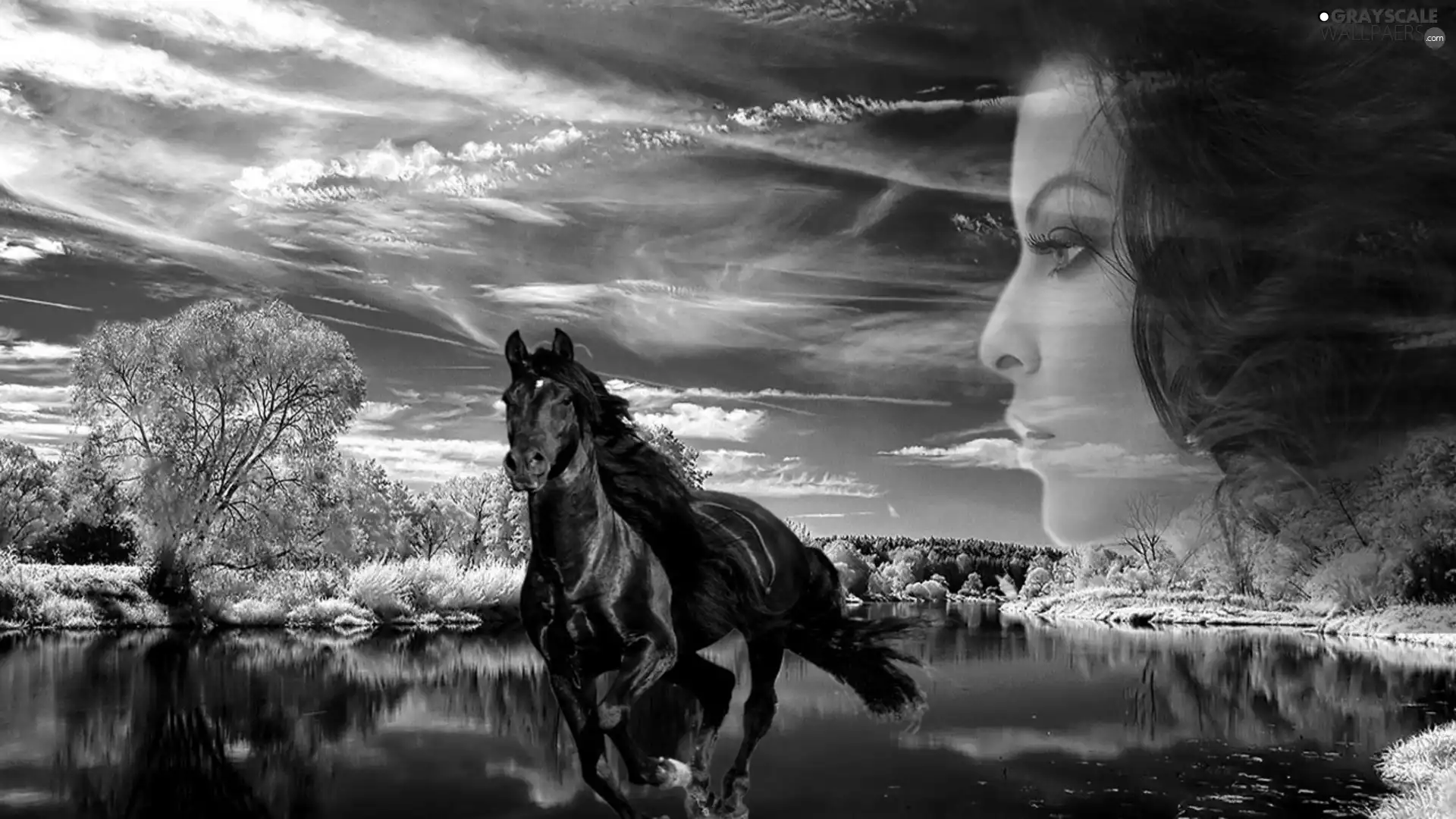 girl, water, clouds, Horse