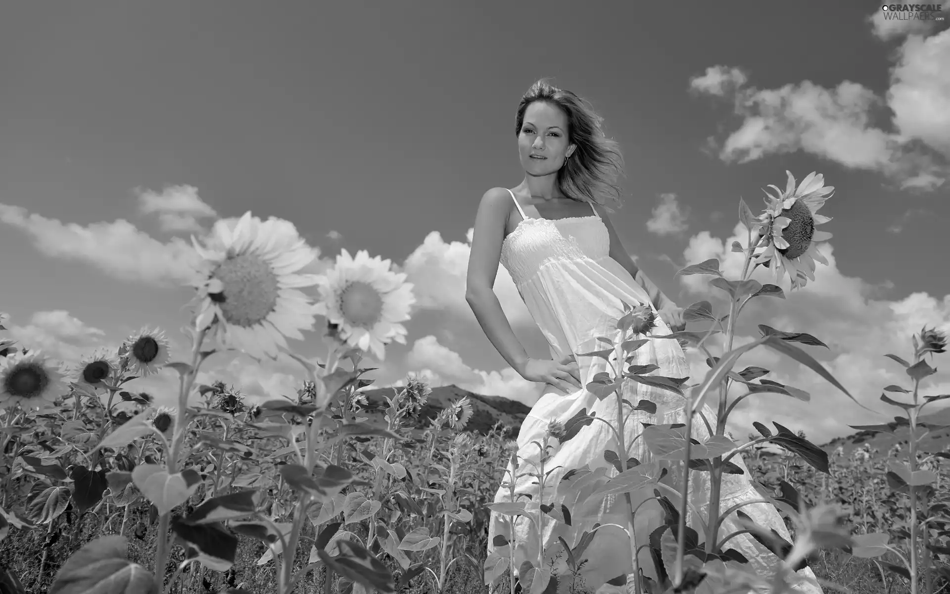 Women, sunflowers, clouds, Field