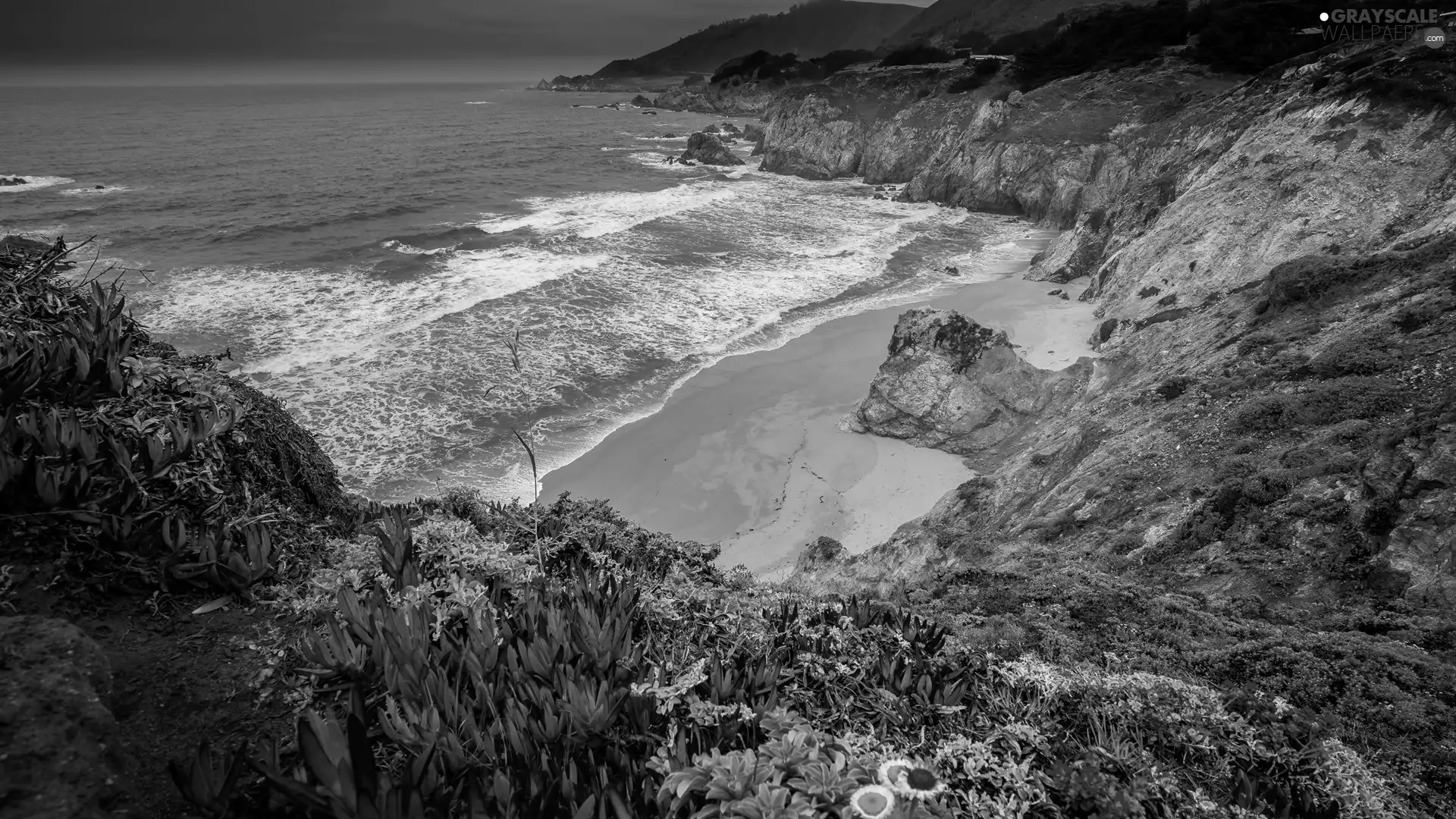 sea, Julia Pfeiffer Burns State Park, Beaches, Coast, California, The United States, VEGETATION, Flowers, rocks