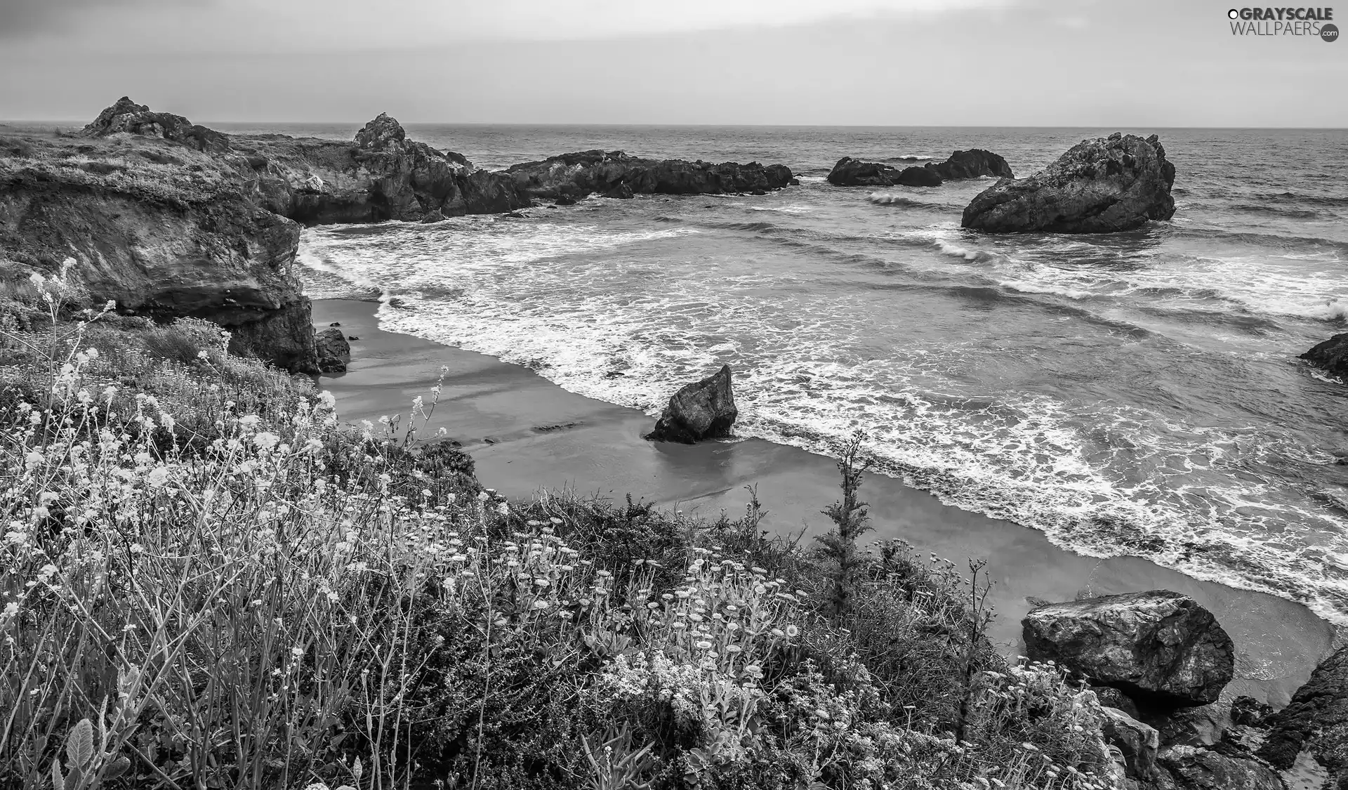 Coast, rocks, California, Flowers, sea, Big Sur, The United States