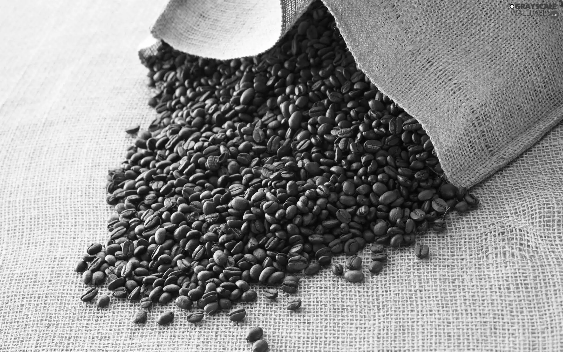 coffee, bag, grains