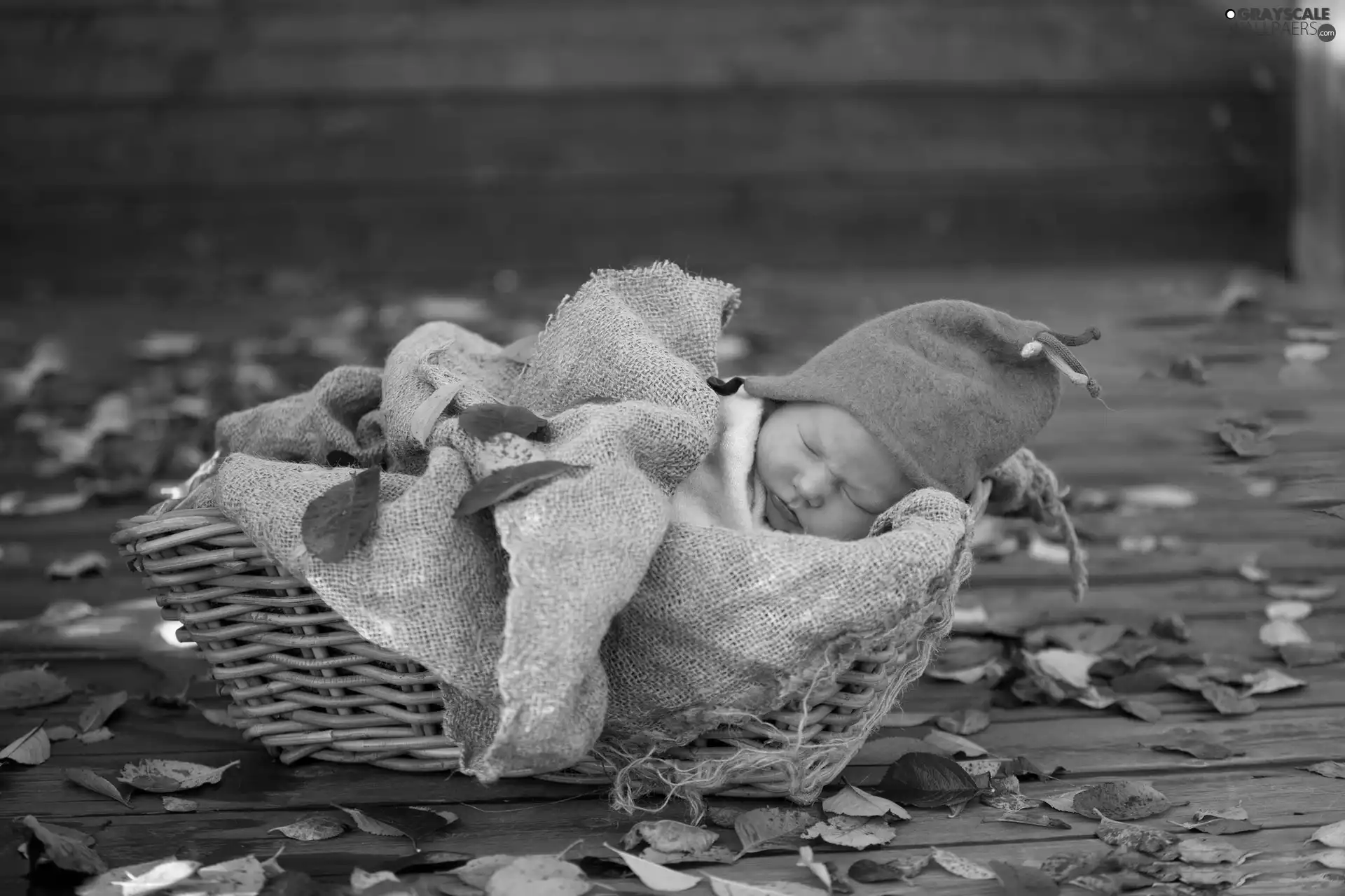 color, Leaf, Kid, sleeps, basket