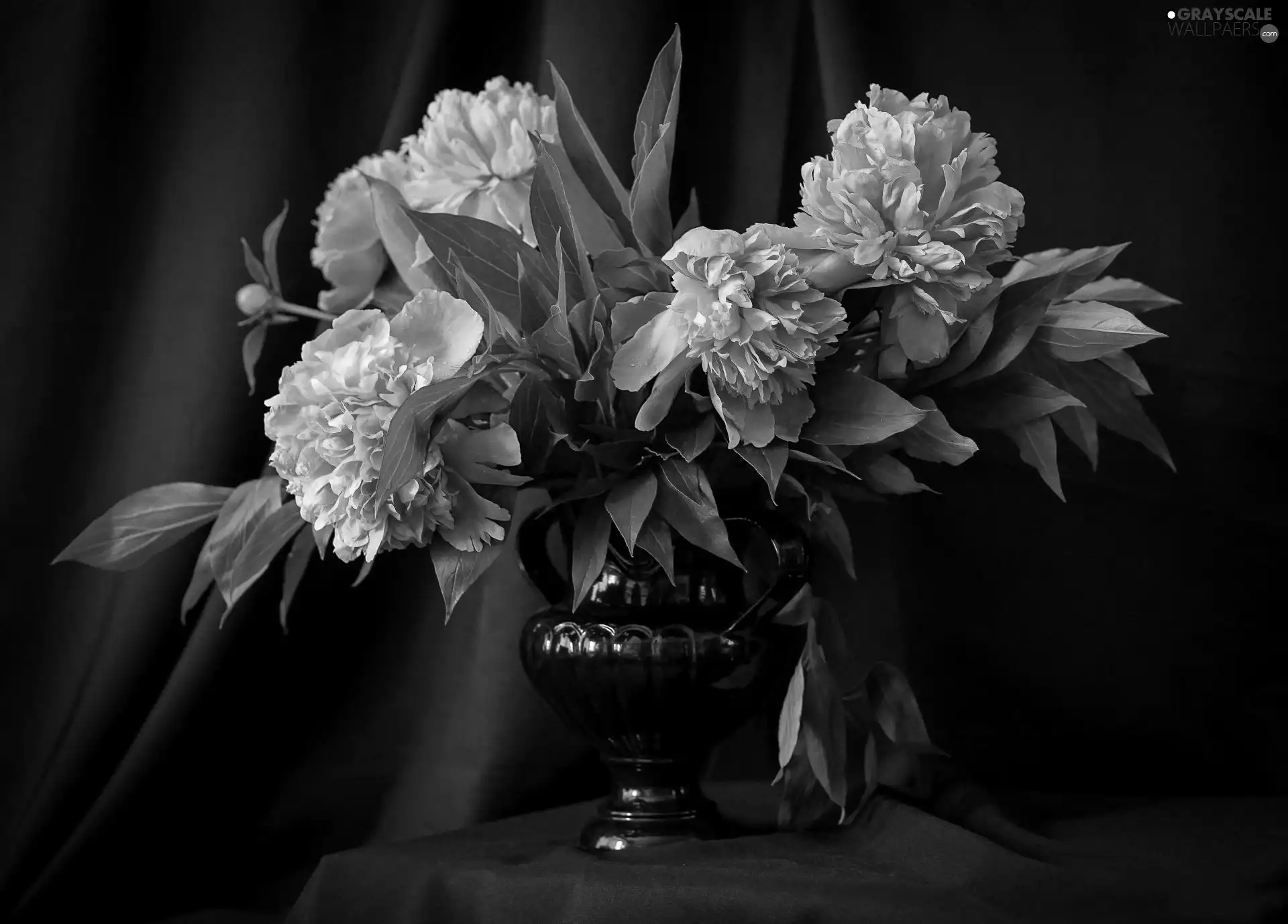 Pink, Vase, composition, Peonies
