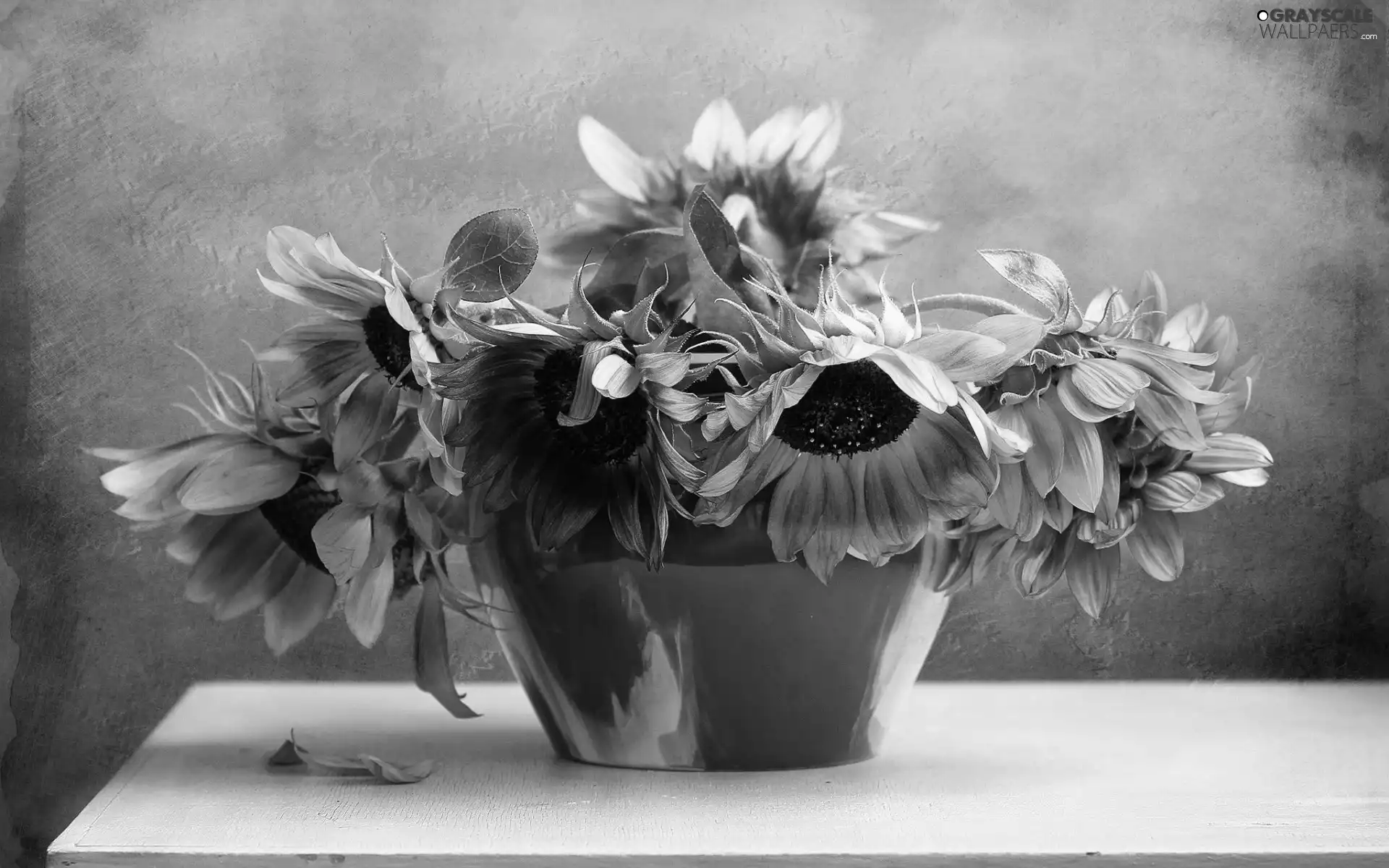 Image, Nice sunflowers, copy