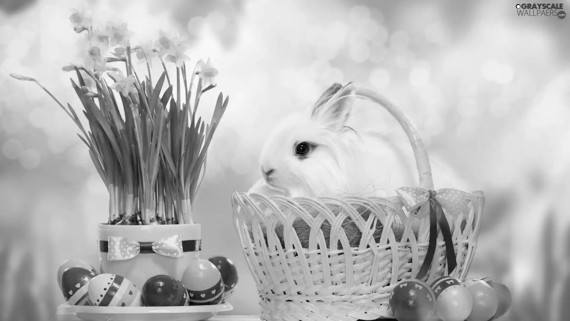 Daffodils, basket, Wild Rabbit, eggs, Easter